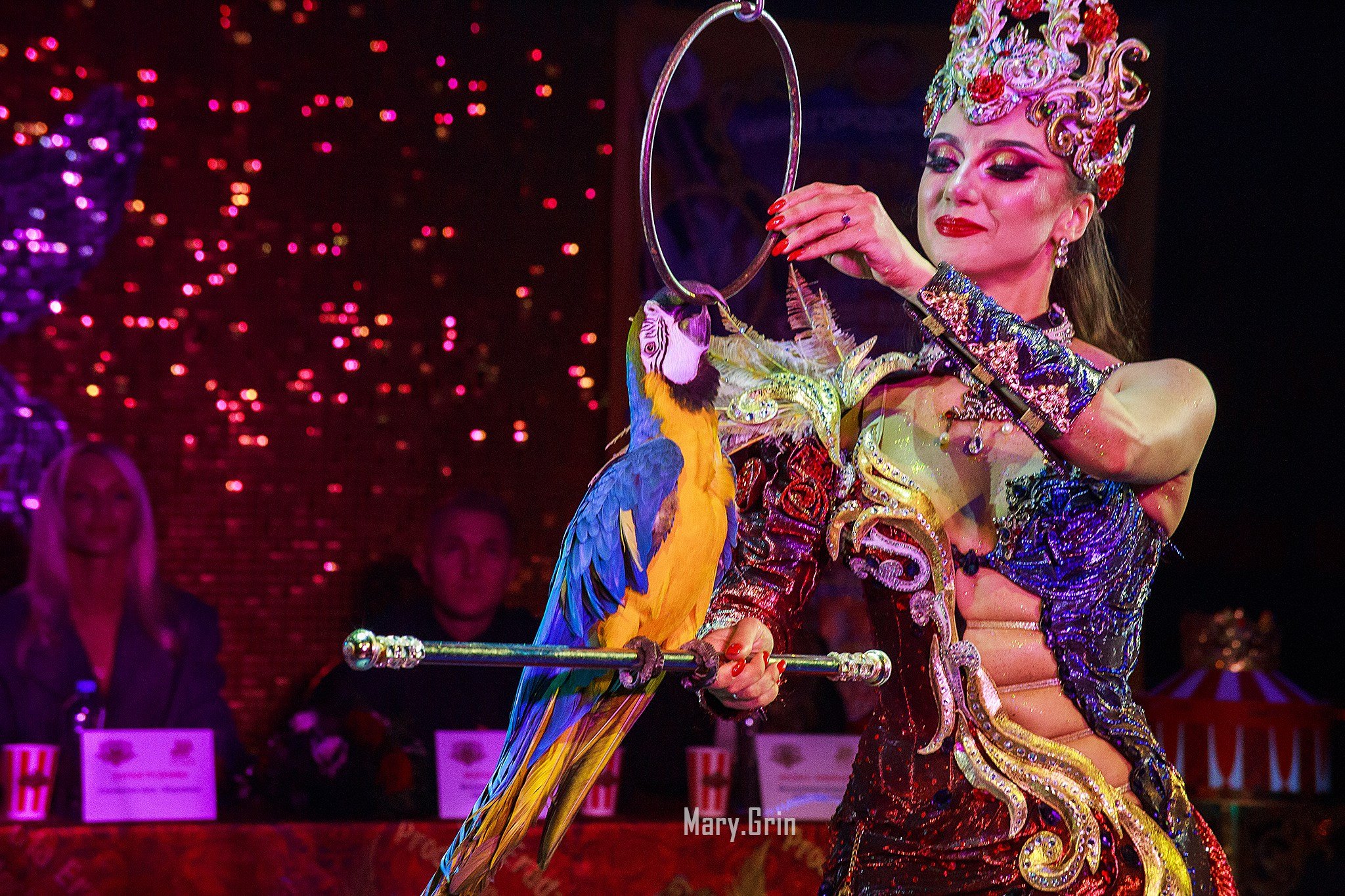 Цирк Гии Эрадзе. Детский и семейный фотограф, фотограф мероприятий Нижний Новгород