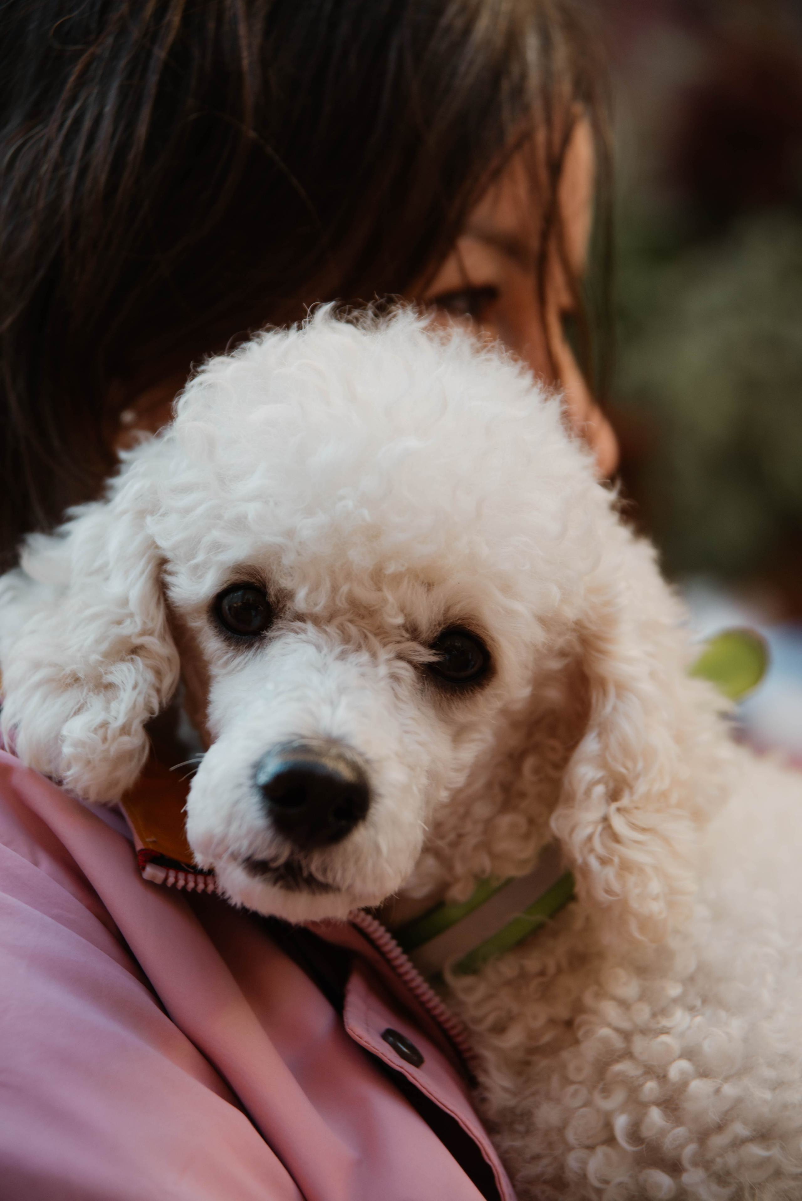 Дог-вечеринка на летнике «Кутёж». Ксения Glossa. Портретный и репортажный фотограф в Самаре