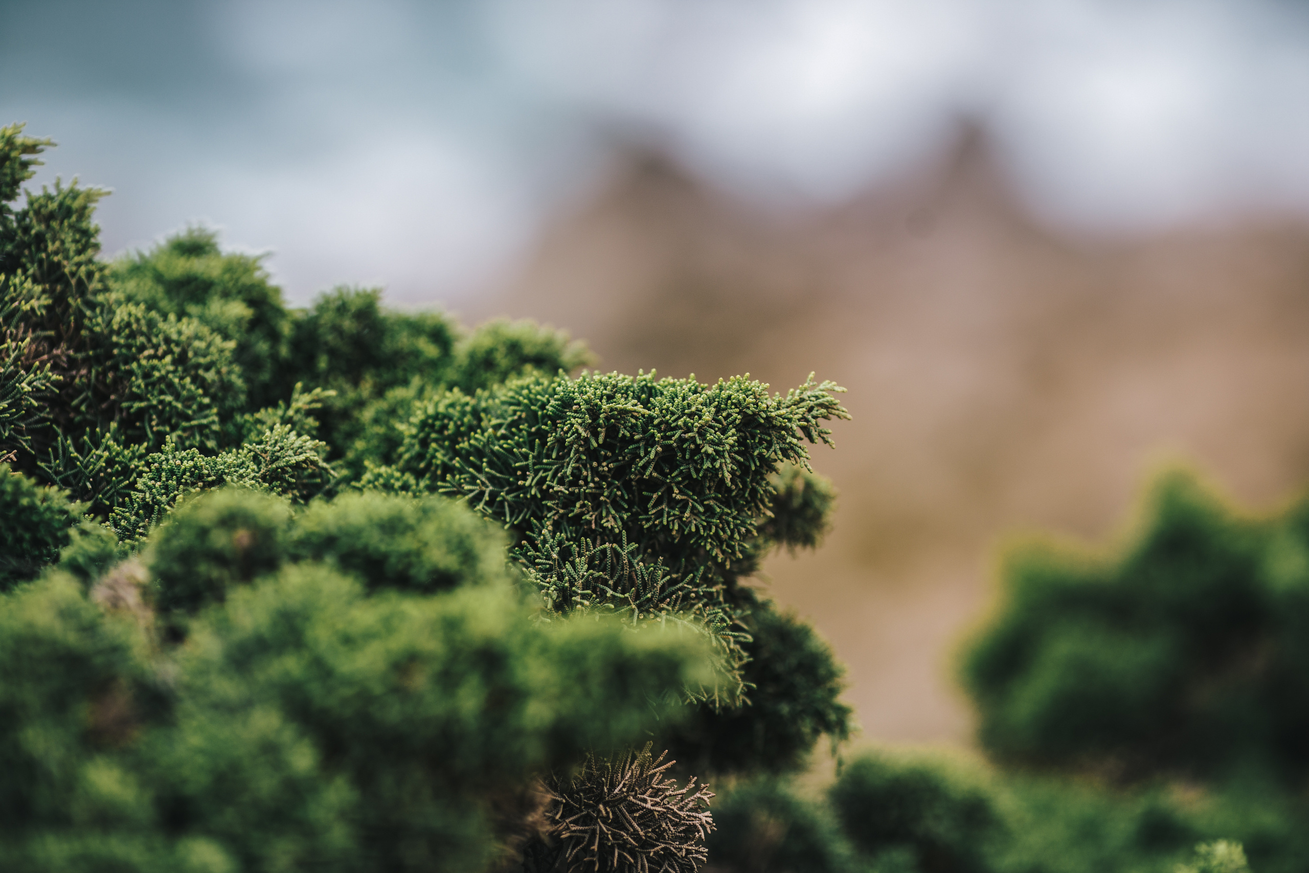 Александр & Вика — Синтра (Португалия). Свадебный фотограф Ричард Конвенсаров Wedding Photographer Richard & I