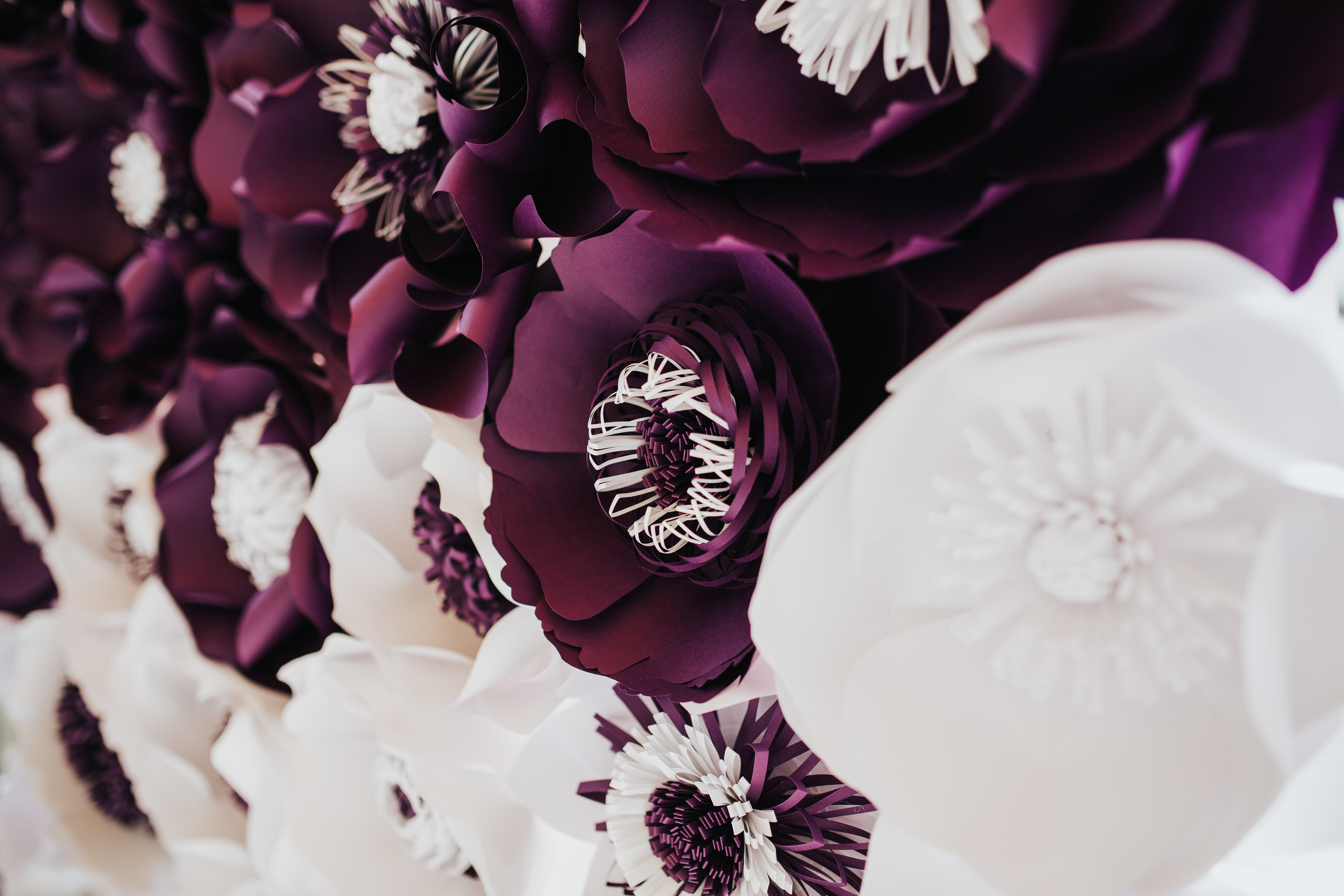 Алексей & Даяна — Копер (Словения). Свадебный фотограф Ричард Конвенсаров Wedding Photographer Richard & I