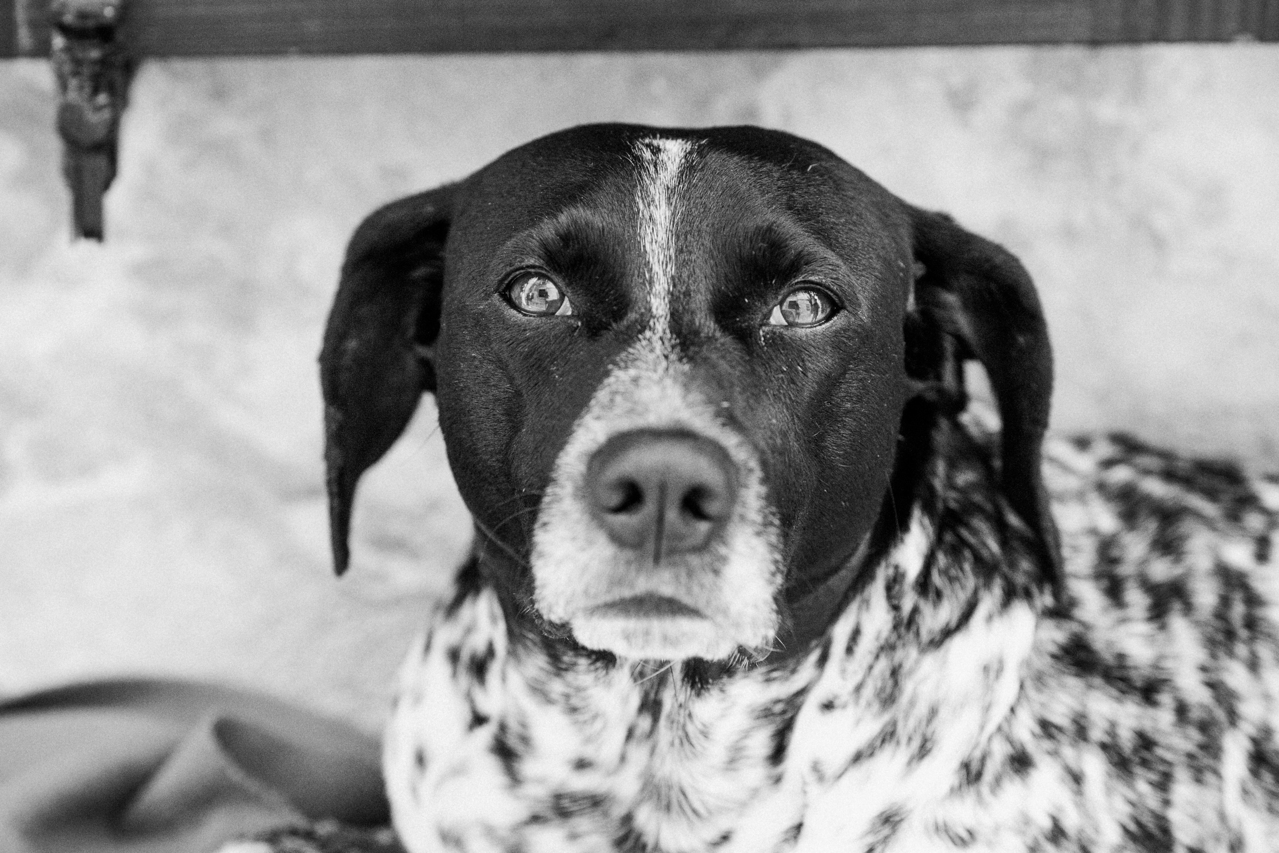 Алексей & Даяна — Копер (Словения). Свадебный фотограф Ричард Конвенсаров Wedding Photographer Richard & I