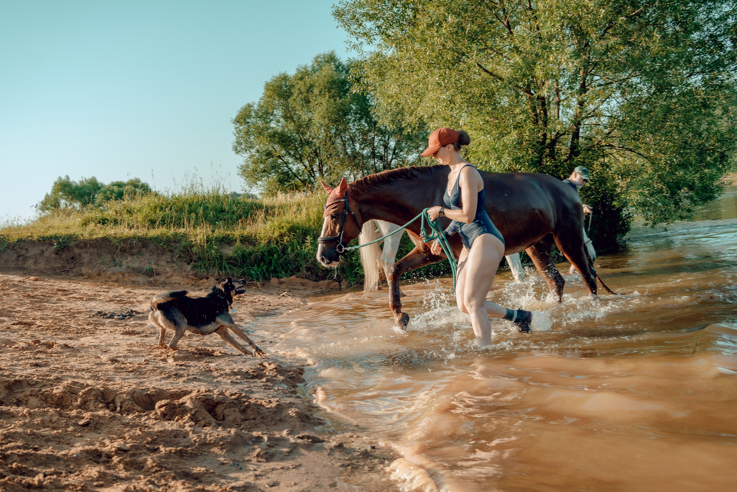 Купание лошадей 05.07.2024. Портретный и семейный фотограф в Москве/Видное