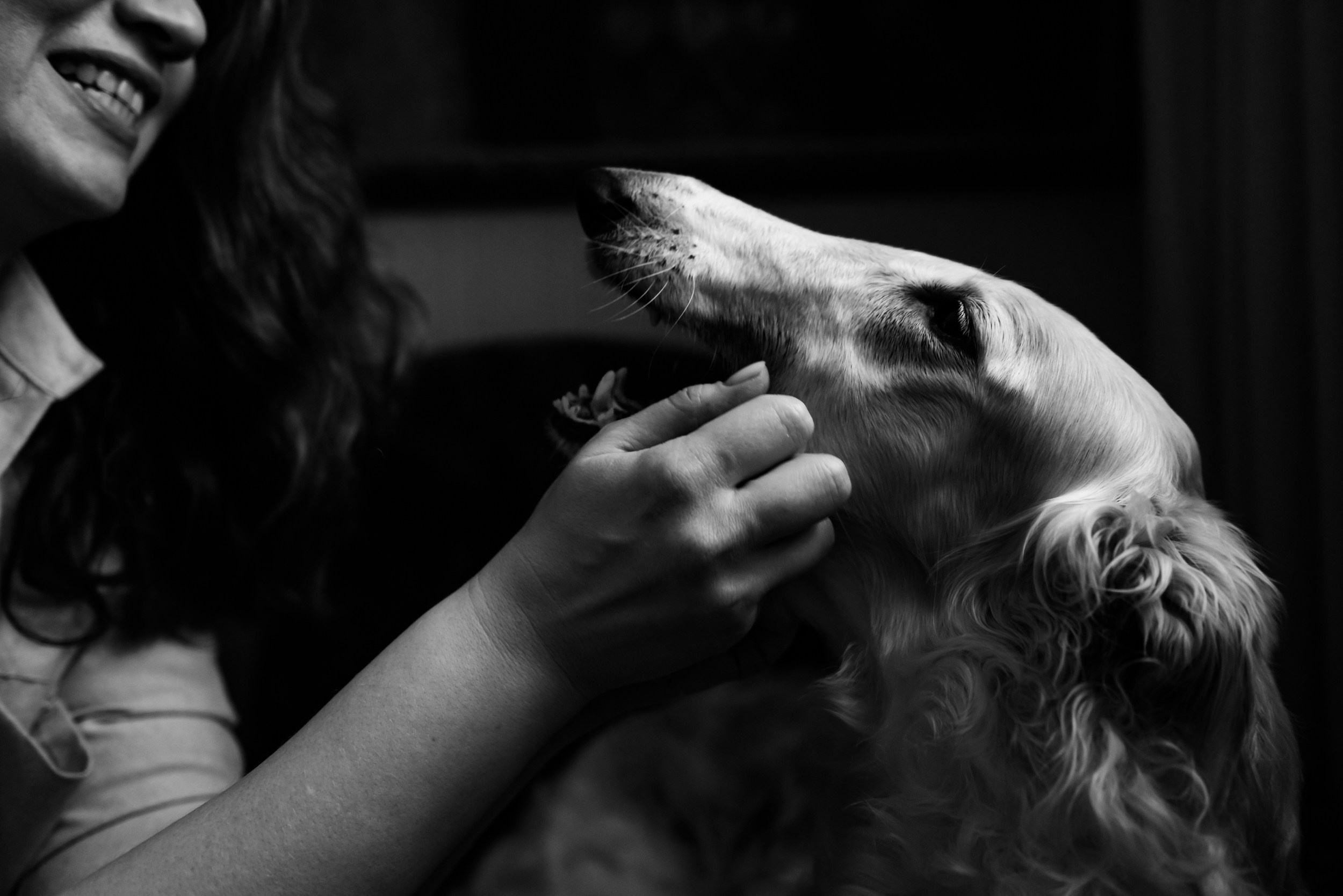 Квартира с картинами. Алиса, Андрей и их пушистая семья. Семейный Фотограф в Москве Ирина Хохлова