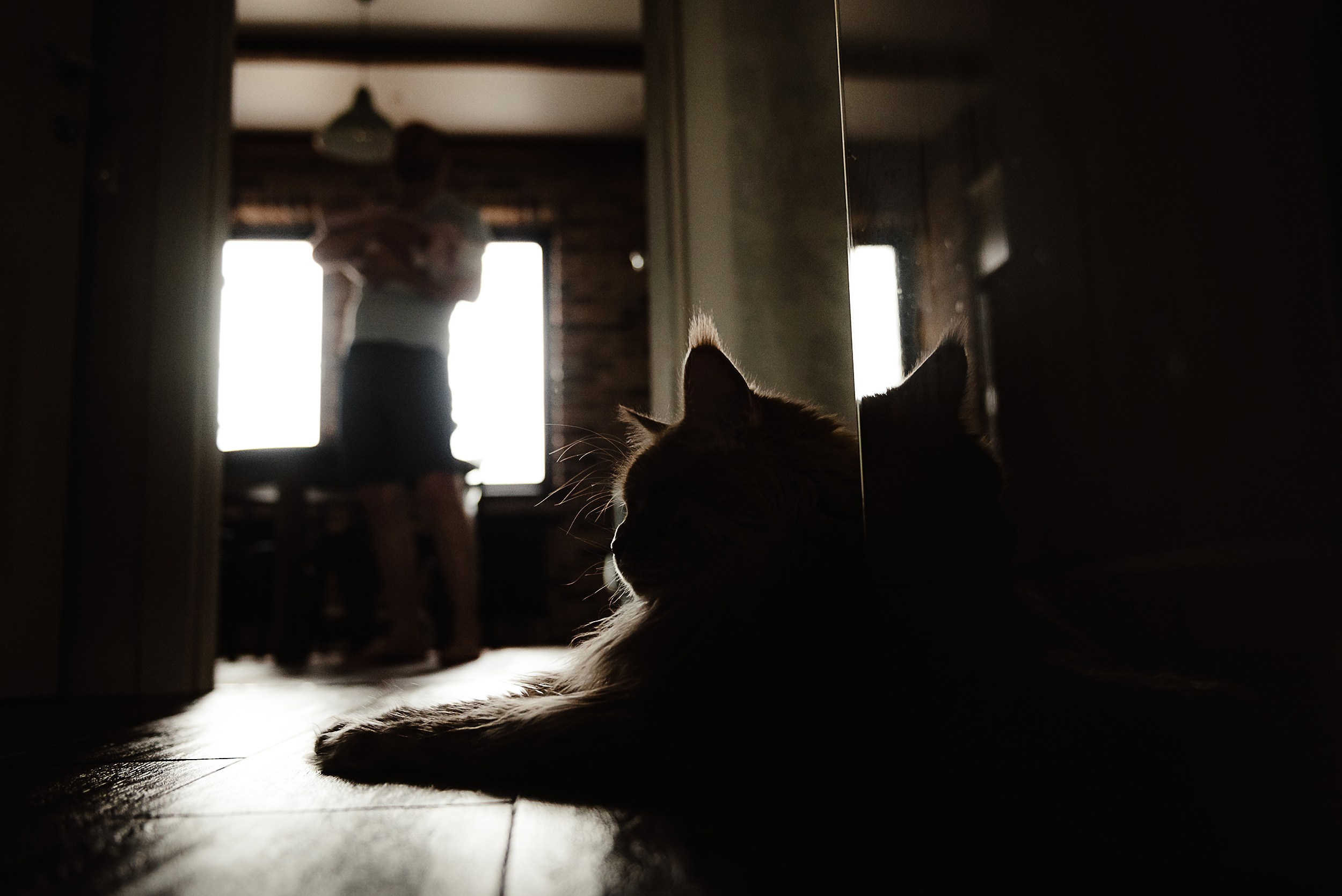 Алена, Виктор, Оливка и Ластик. Семейный Фотограф в Москве Ирина Хохлова