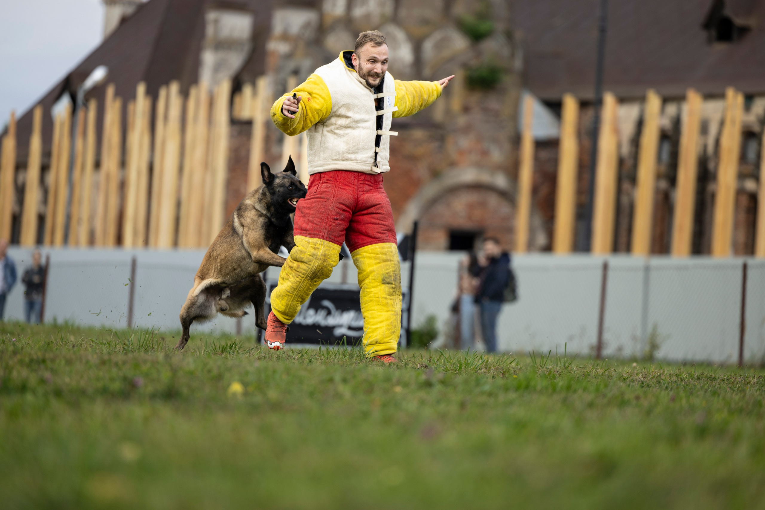 Испытания по Мондьорингу г. Пушкин. Фотограф-анималист Анна Маринич