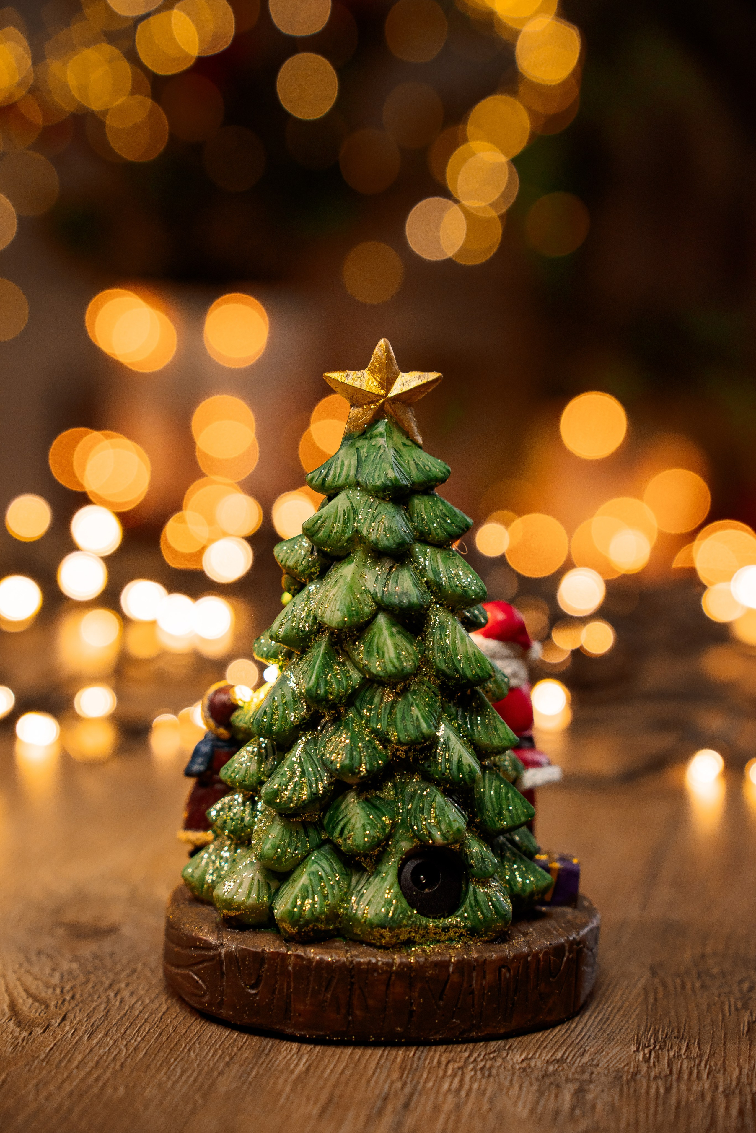 Ёлки. Фотограф Краснодар Николай Андросов