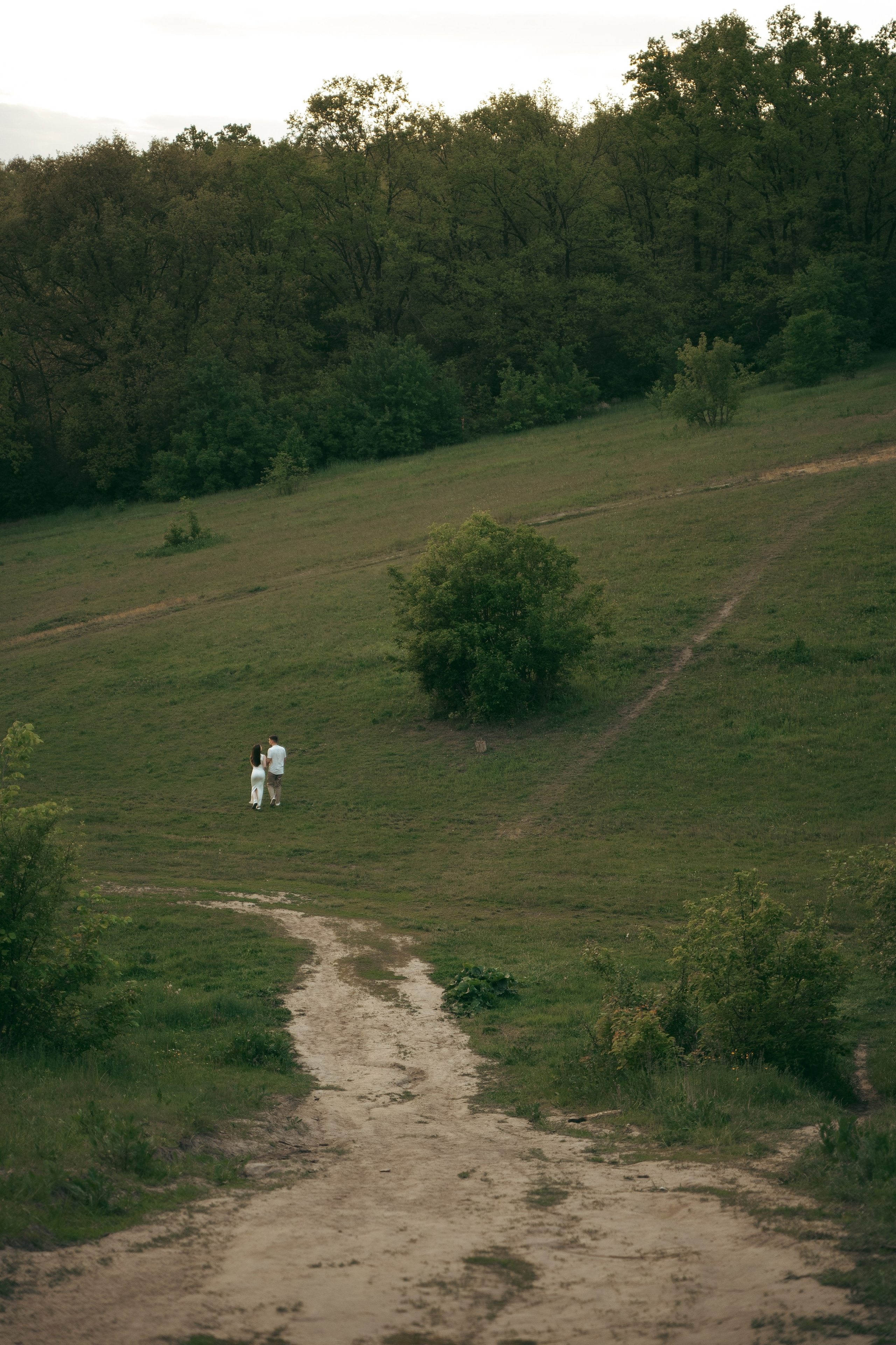 Парк Динамо. Фотограф Мария Зайчик