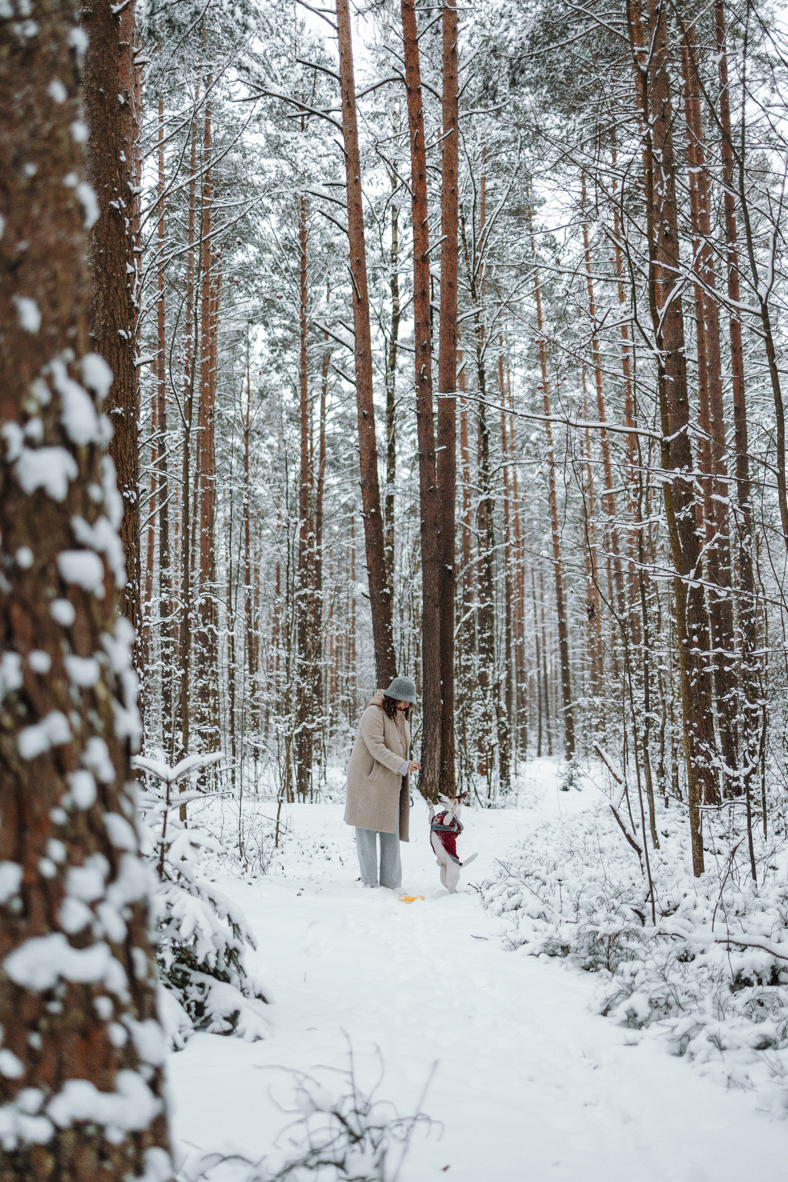 Наталья и Микки. Фотограф — Анималист | Санкт-Петербург