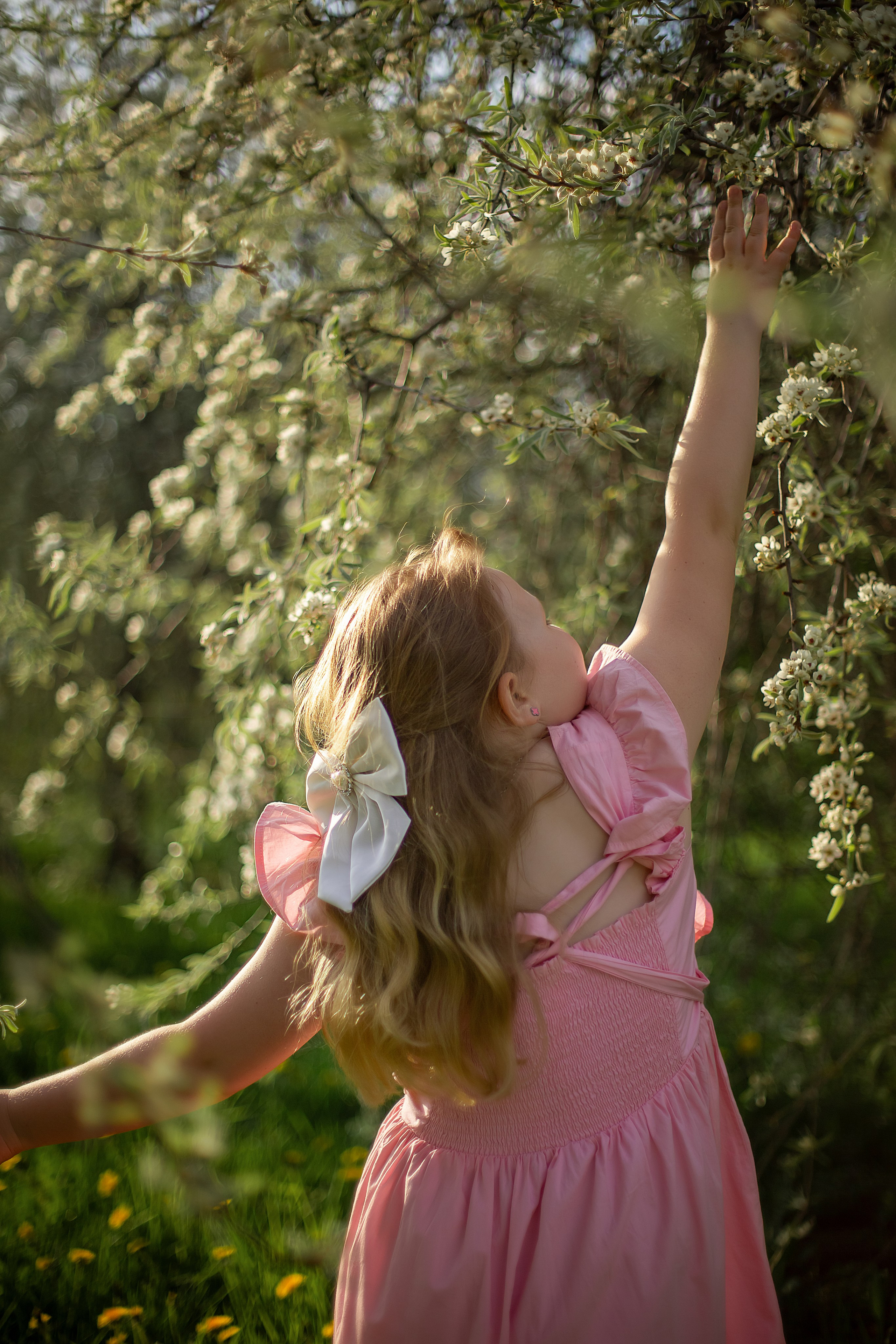 Алиса. Фотограф Анастасия, СПб: живые семейные и женские фотосессии без позирования, наполненные эмоциями