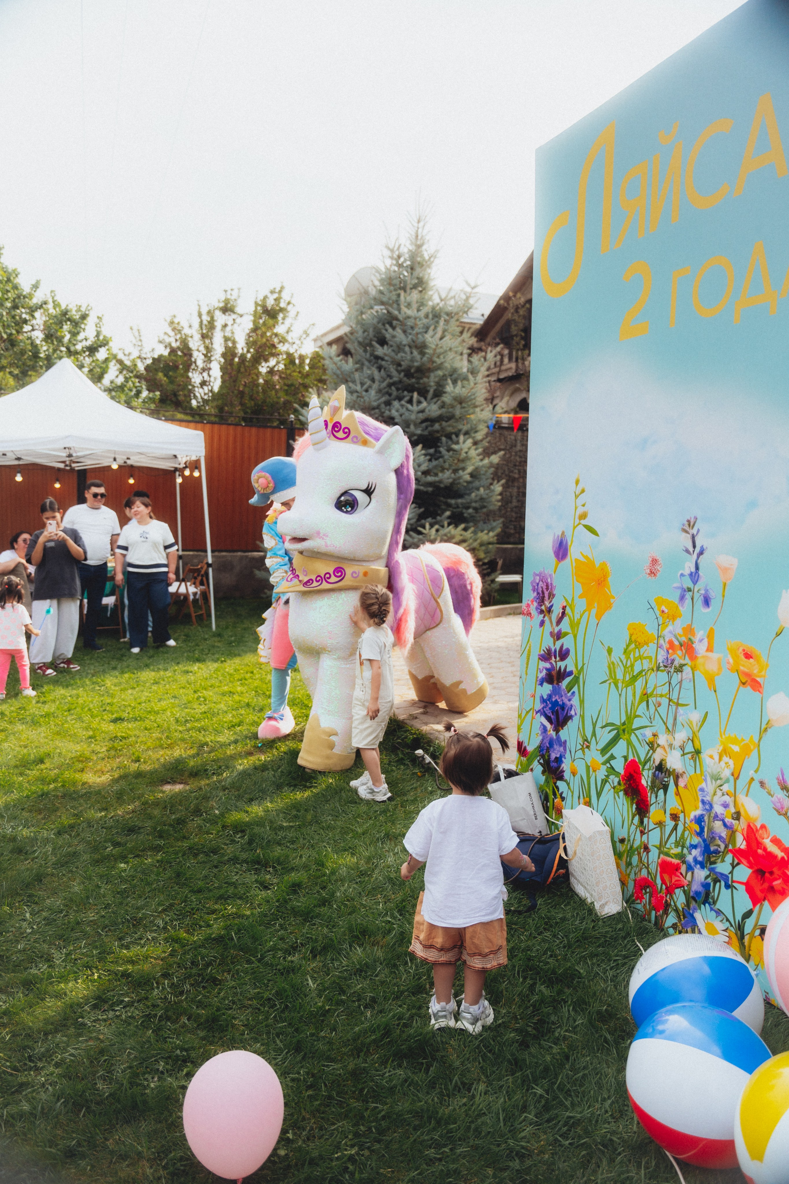 ЛЯЙСАН 2 ГОДА