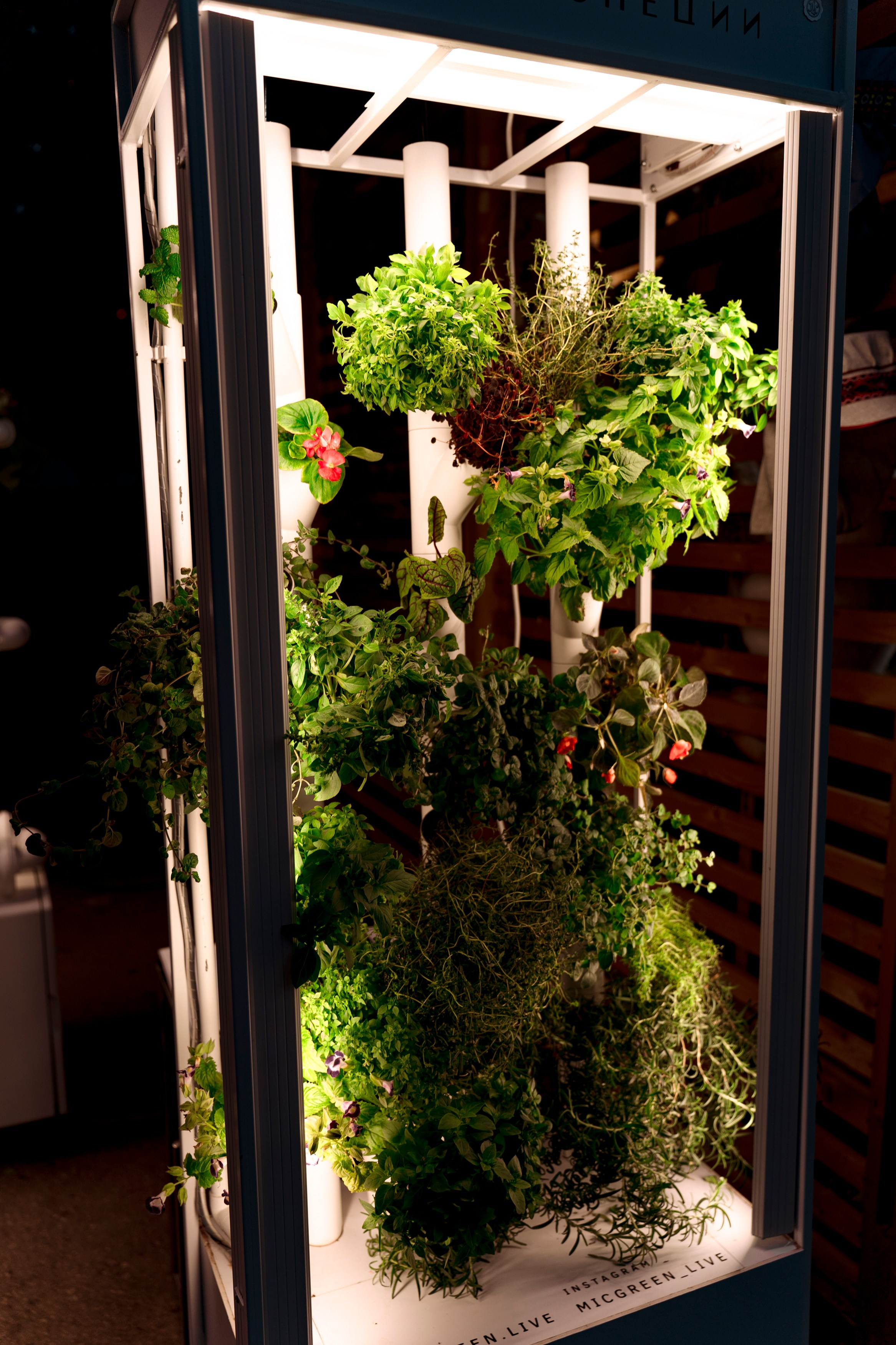 Гриль Фест 2025. Свадебный фотограф Москва