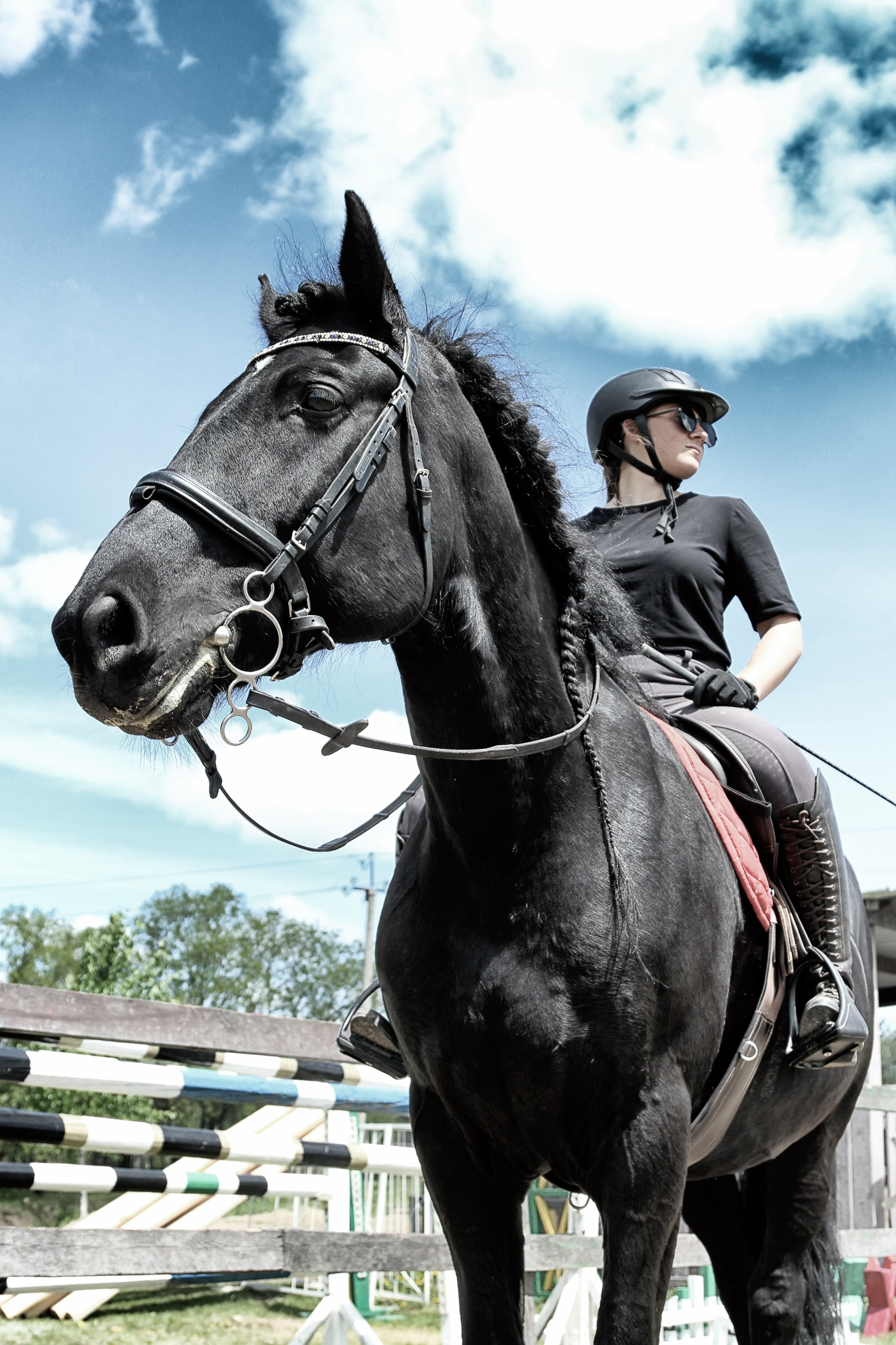 Лошади «Каскад» и «Брилиант». Алиса Томшина — Фотограф / Видеограф