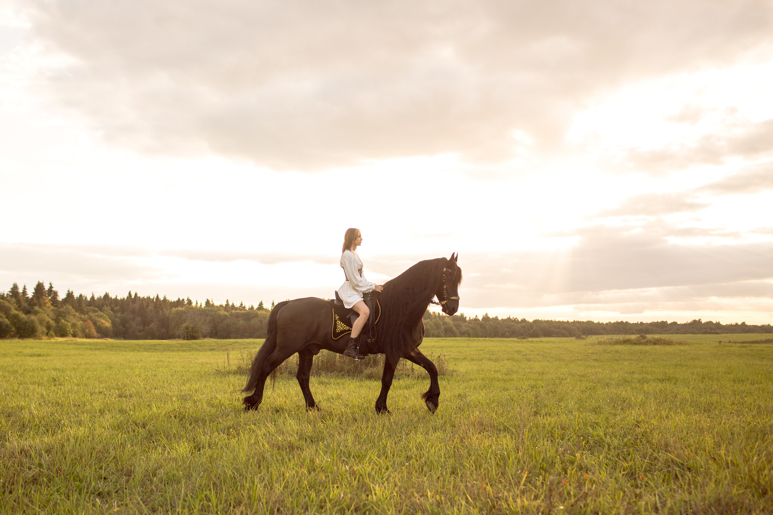 Фотосессия с фризом