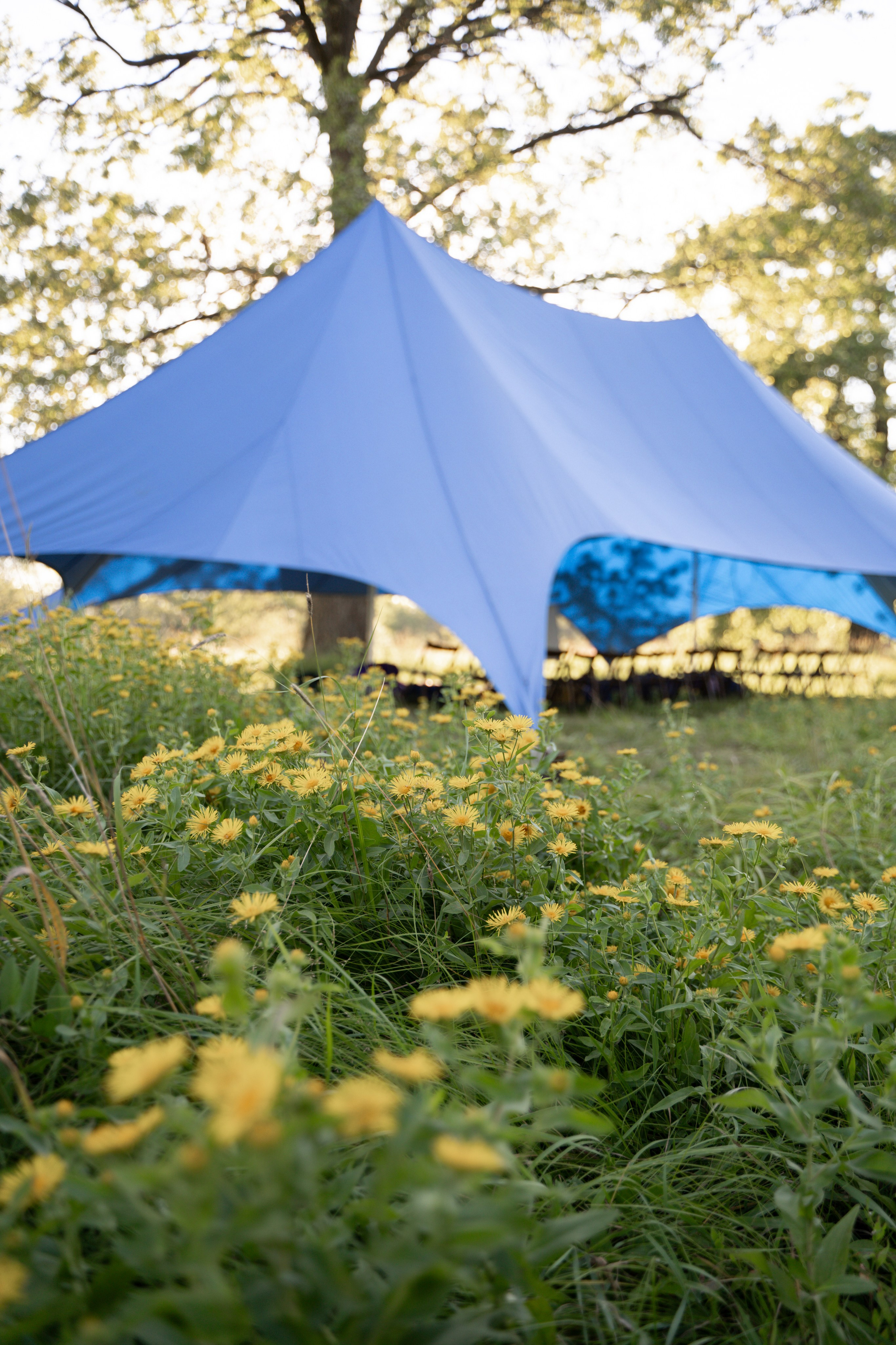 Палаточный форум для взрослых CAMPot 2024. Фотограф Надежда Погребняк | Рязань | Москва