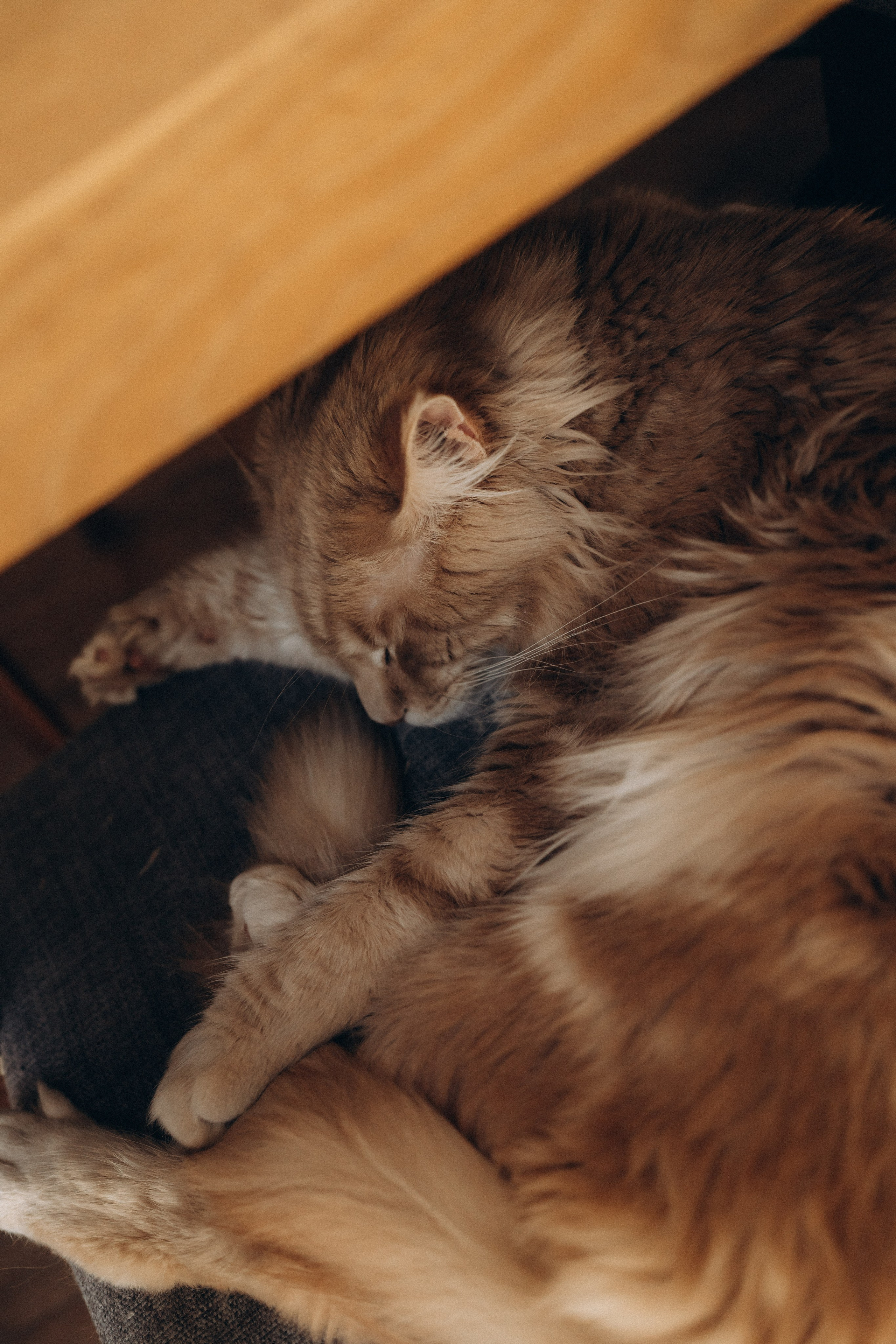 Время с семьёй. Семейный фотограф в Ангарске/ Иркутске