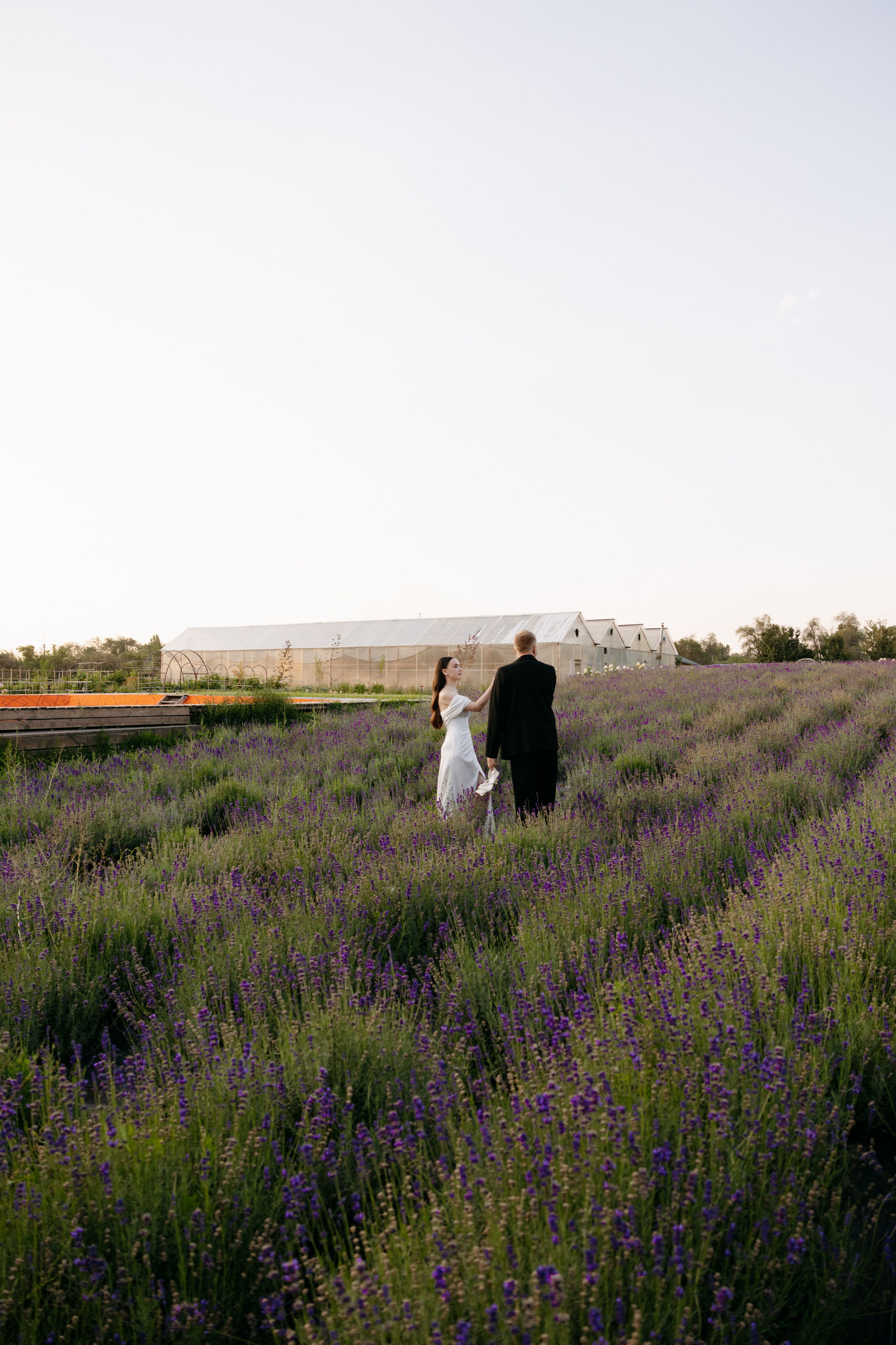 Vlad & El'sa. Batr Kanatkali