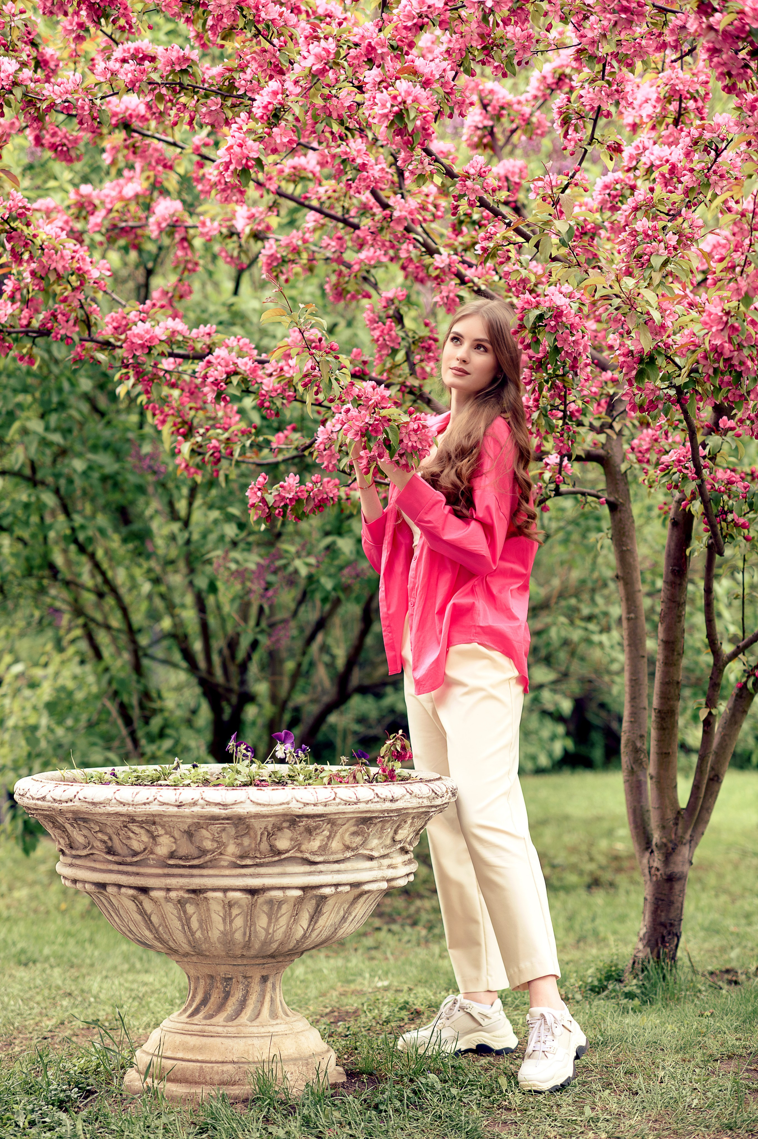 розовые яблони в Екатерининском саду