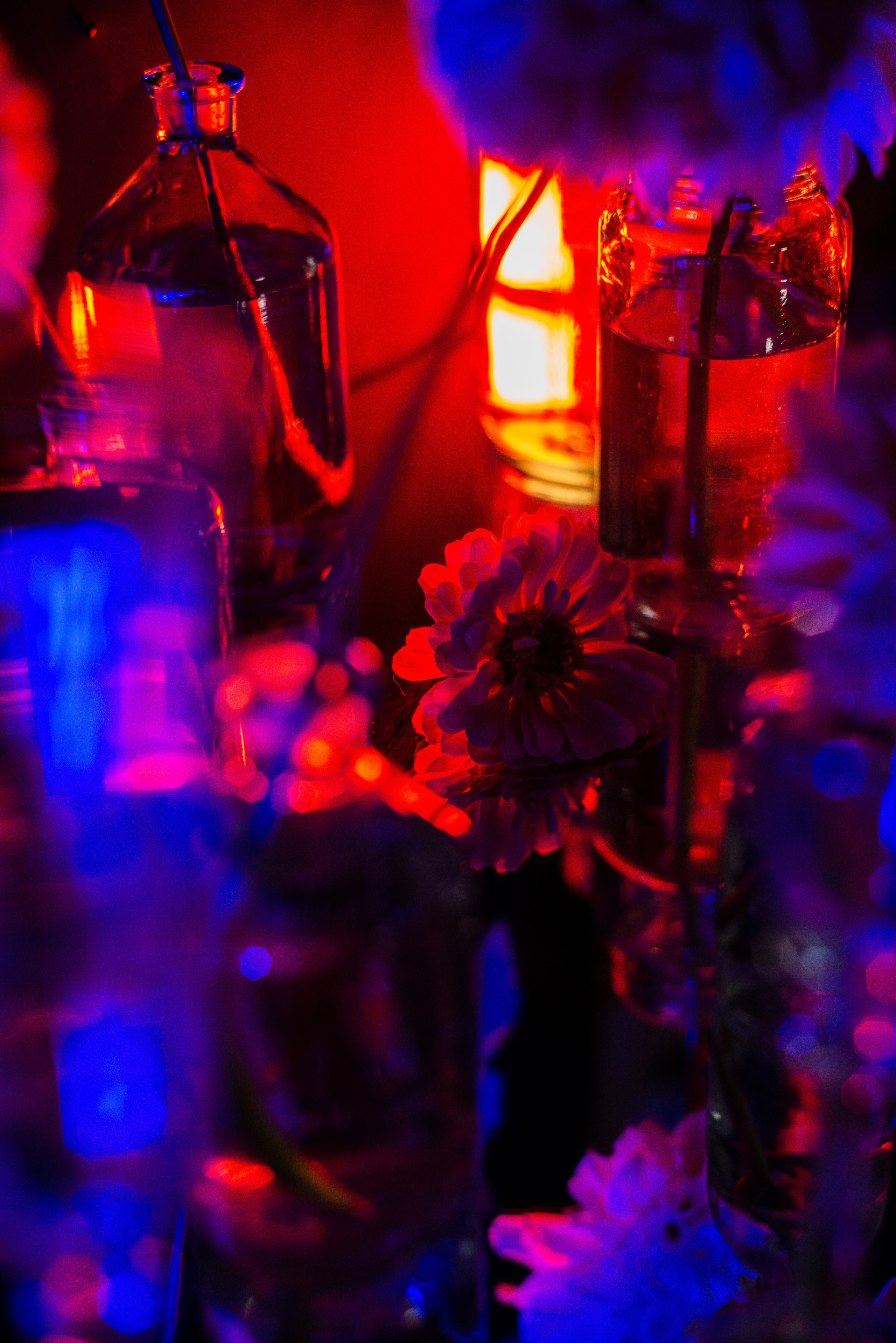 Art. Фотограф в Санкт-Петербурге Мария Мельникова