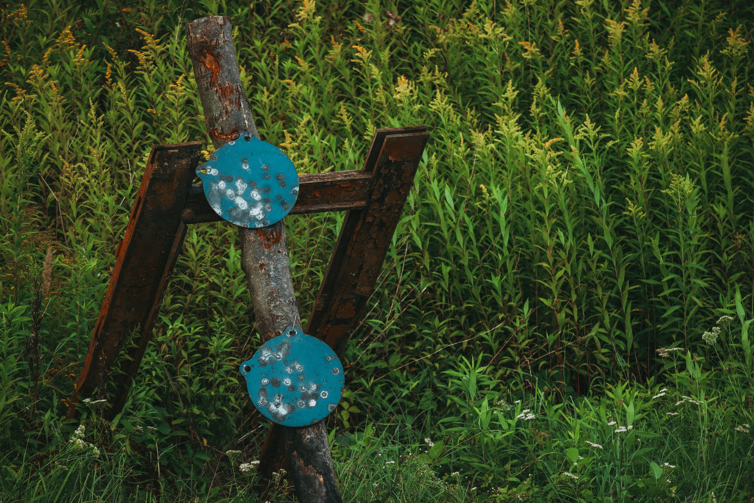 Никита П. (Полигон). — Digital Noise —