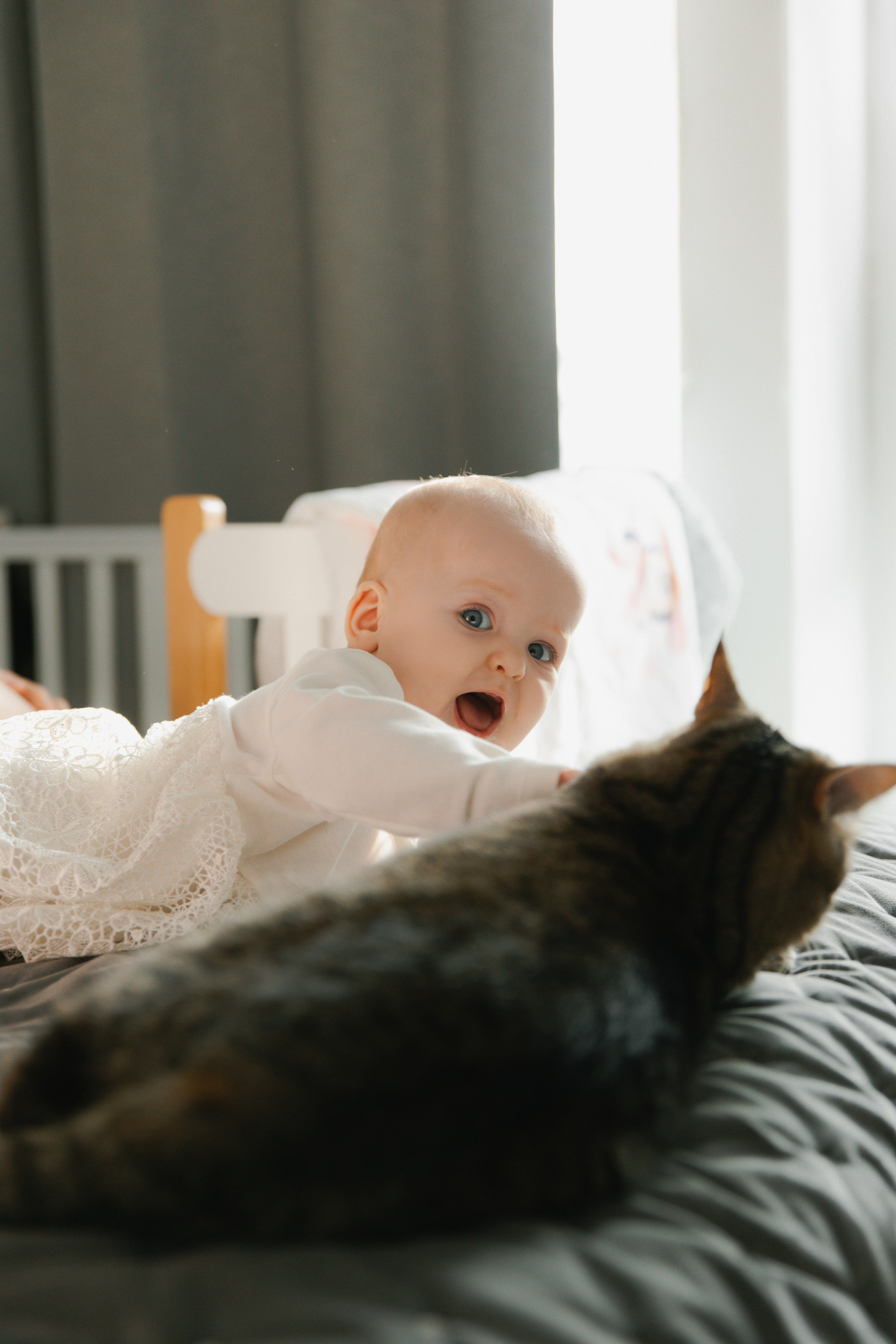 Polja. Главная