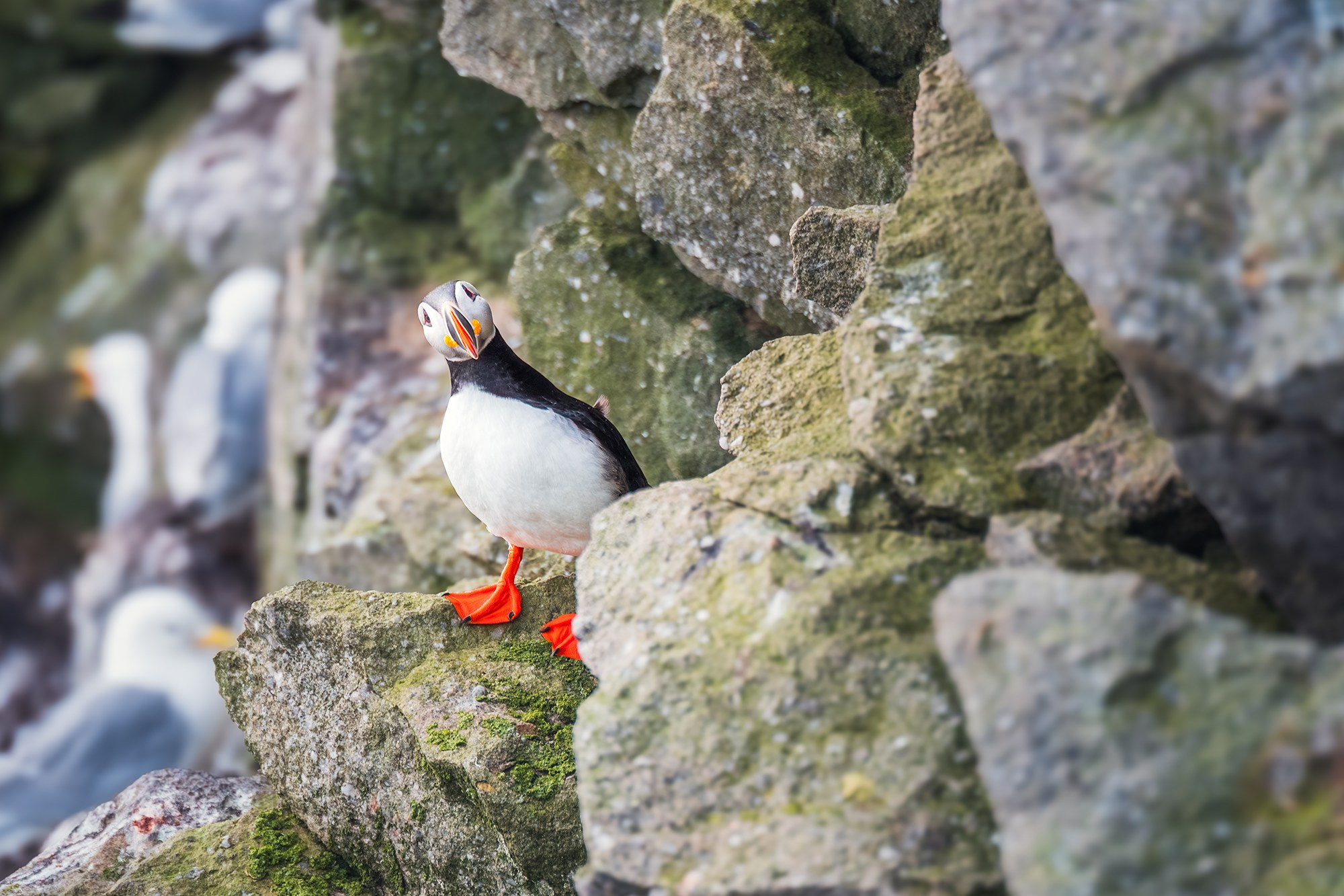 Арктика. Аэросъемка в Архангельске, Александр Ермолин