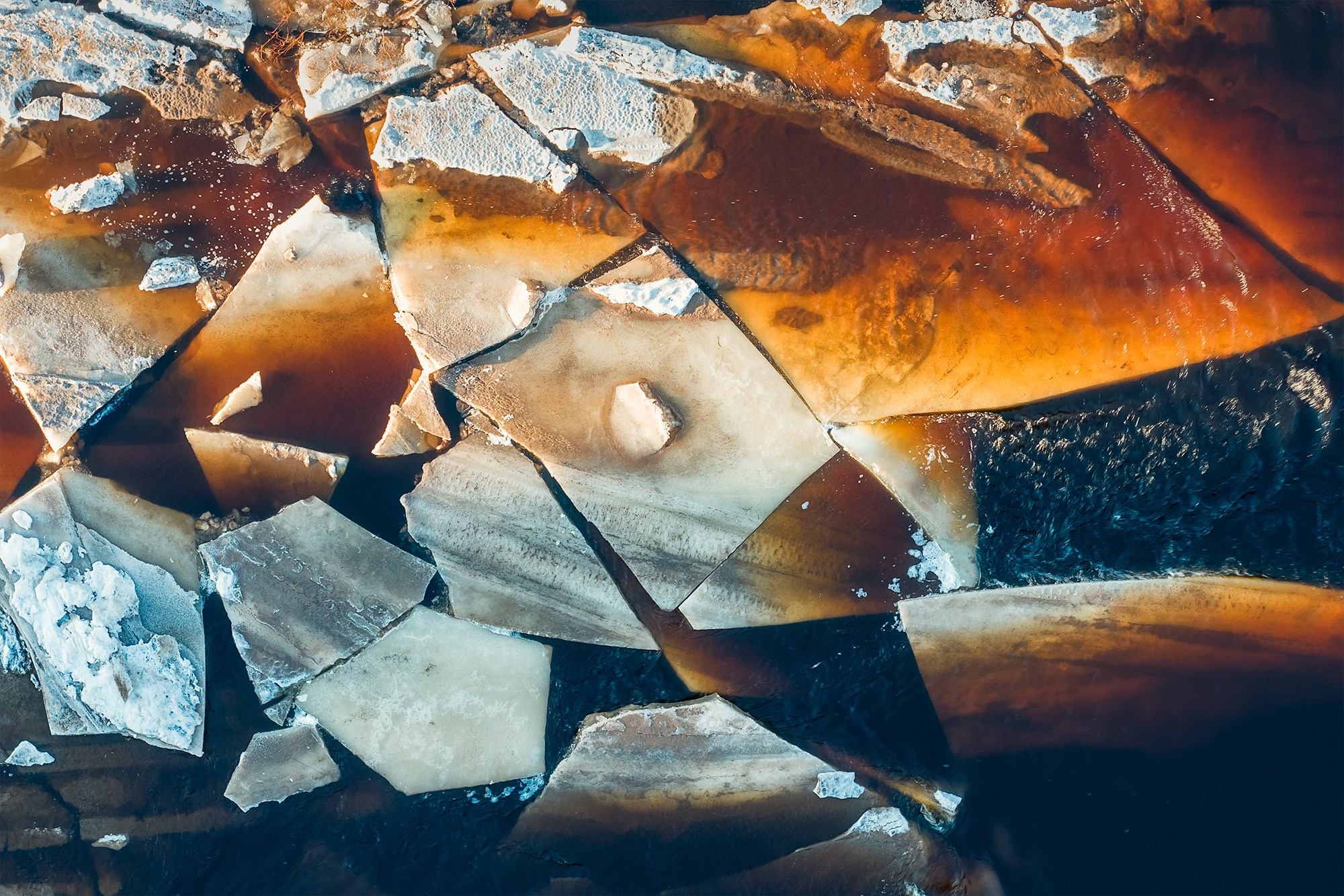 Весна в лесу. Фотосъемка в Архангельске, фотограф Александр Ермолин