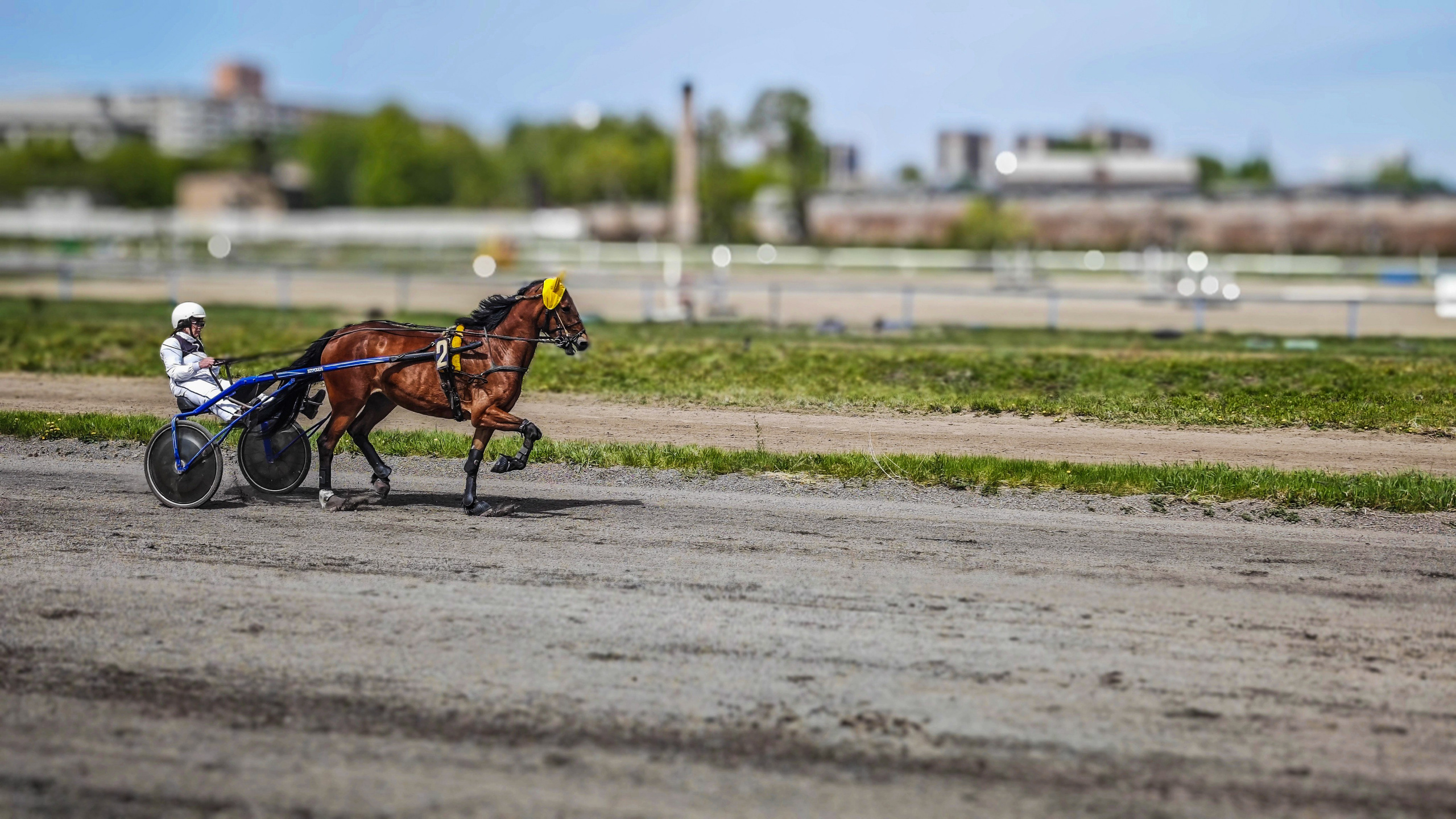 Красноярский ипподром. Открытие сезона 2025. Игорь Урывский. Фотограф Красноярск