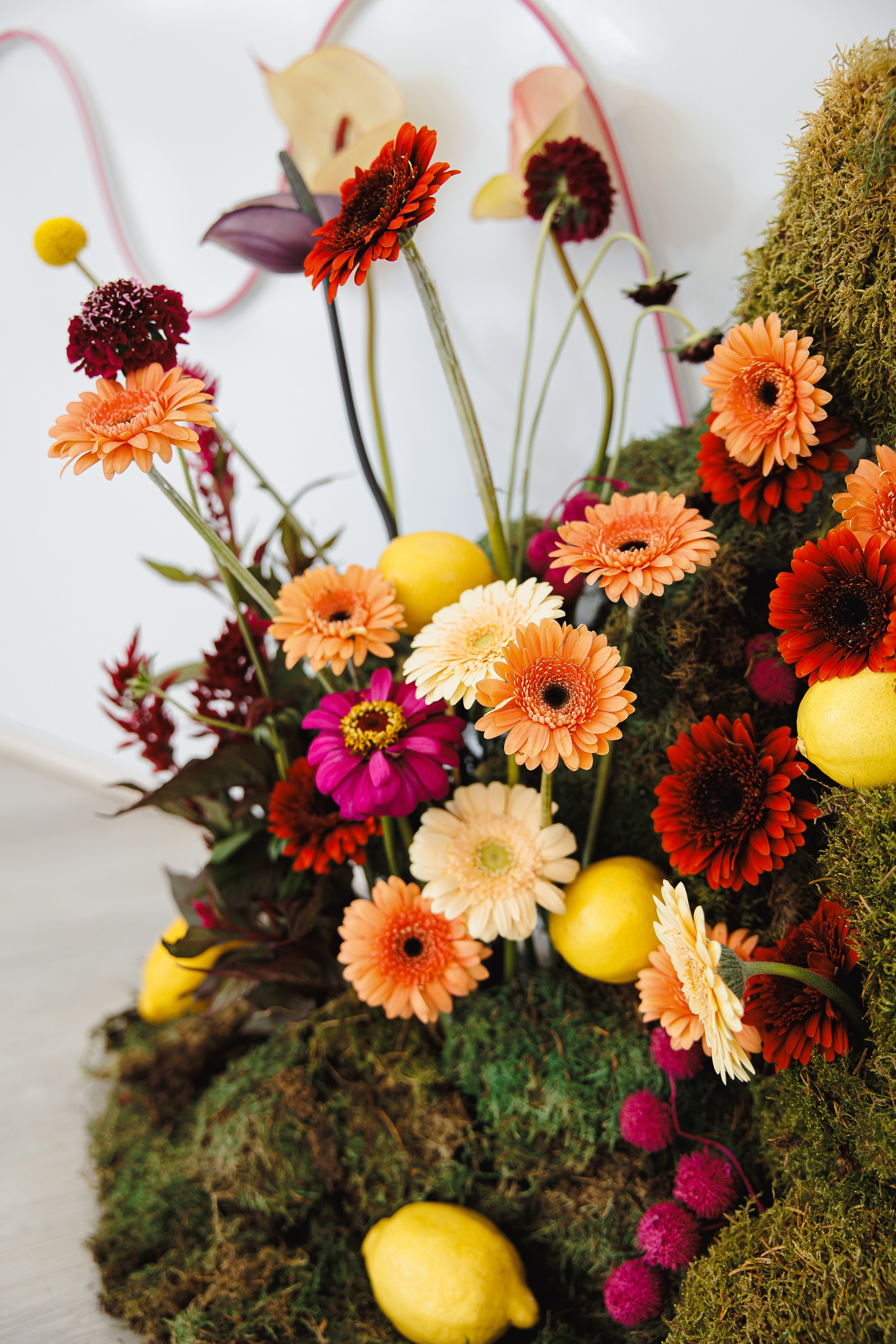 ГОЛЬФ КЛУБ. АННА И РОМАН. Свадебный и индивидуальный фотограф в Челябинске Евгения Негодяева