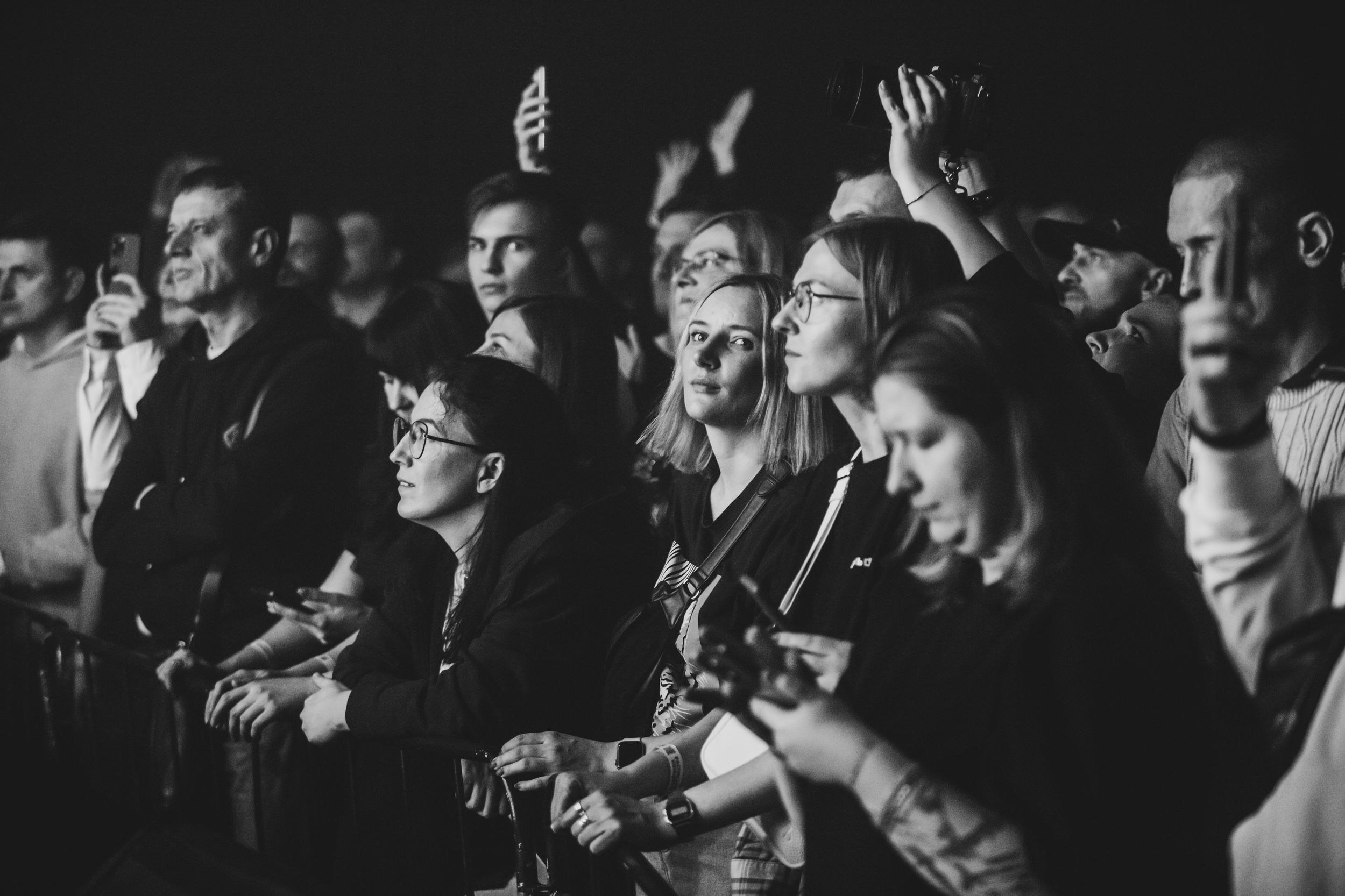 Дельфин. Репортажный фотограф Алексей Пирязев