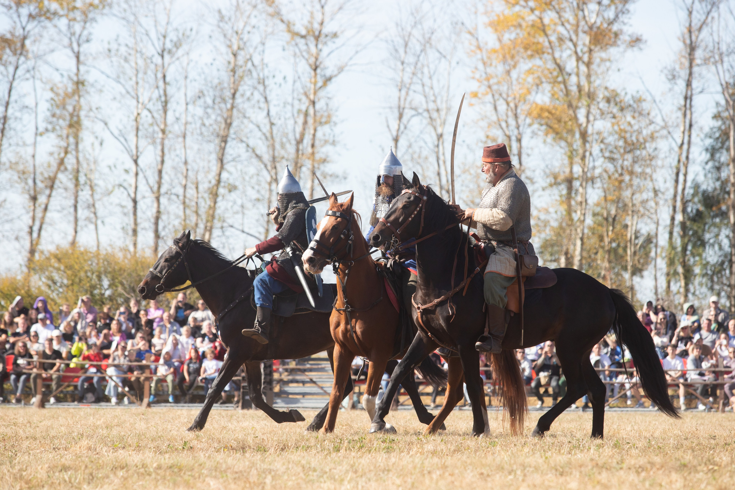 644-я годовщина Куликовской битвы (21 сентября 2024). Репортажный фотограф Алексей Пирязев