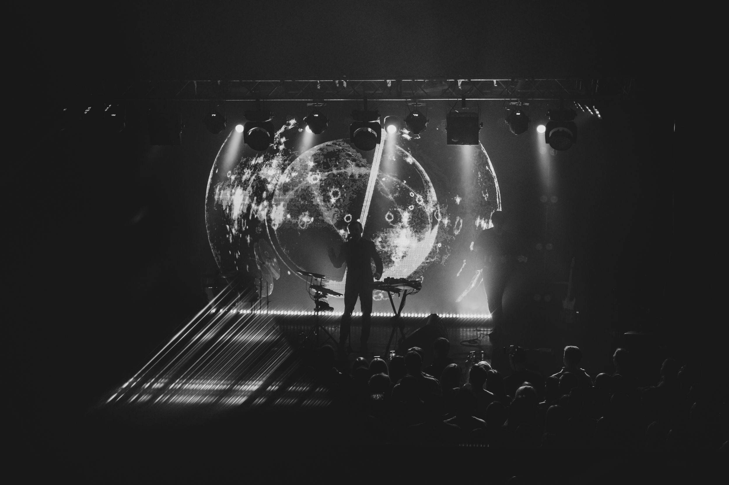 Дельфин. Репортажный фотограф Алексей Пирязев