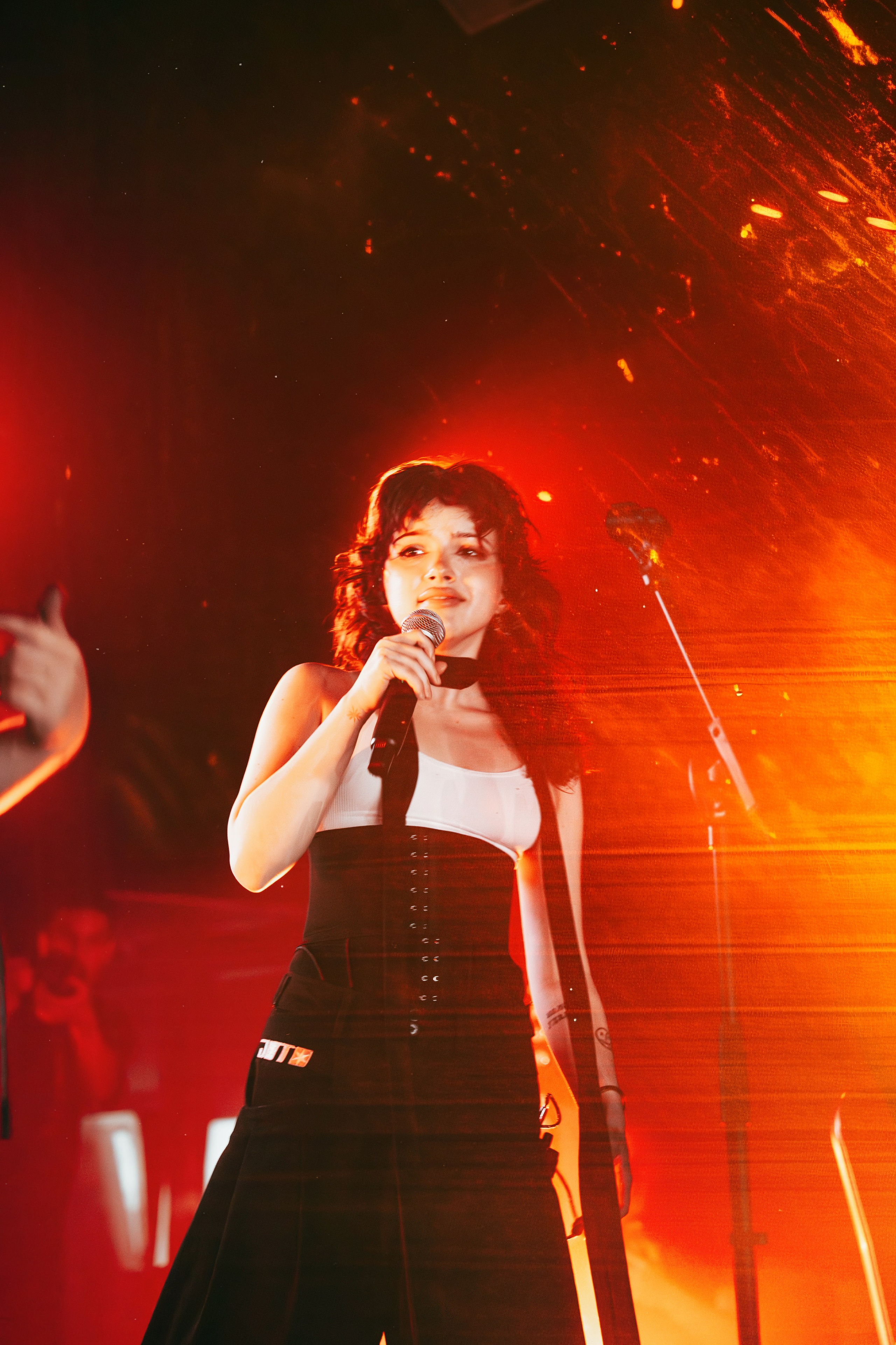 SALUKI. Фотограф Герман Лебедев — Тольятти