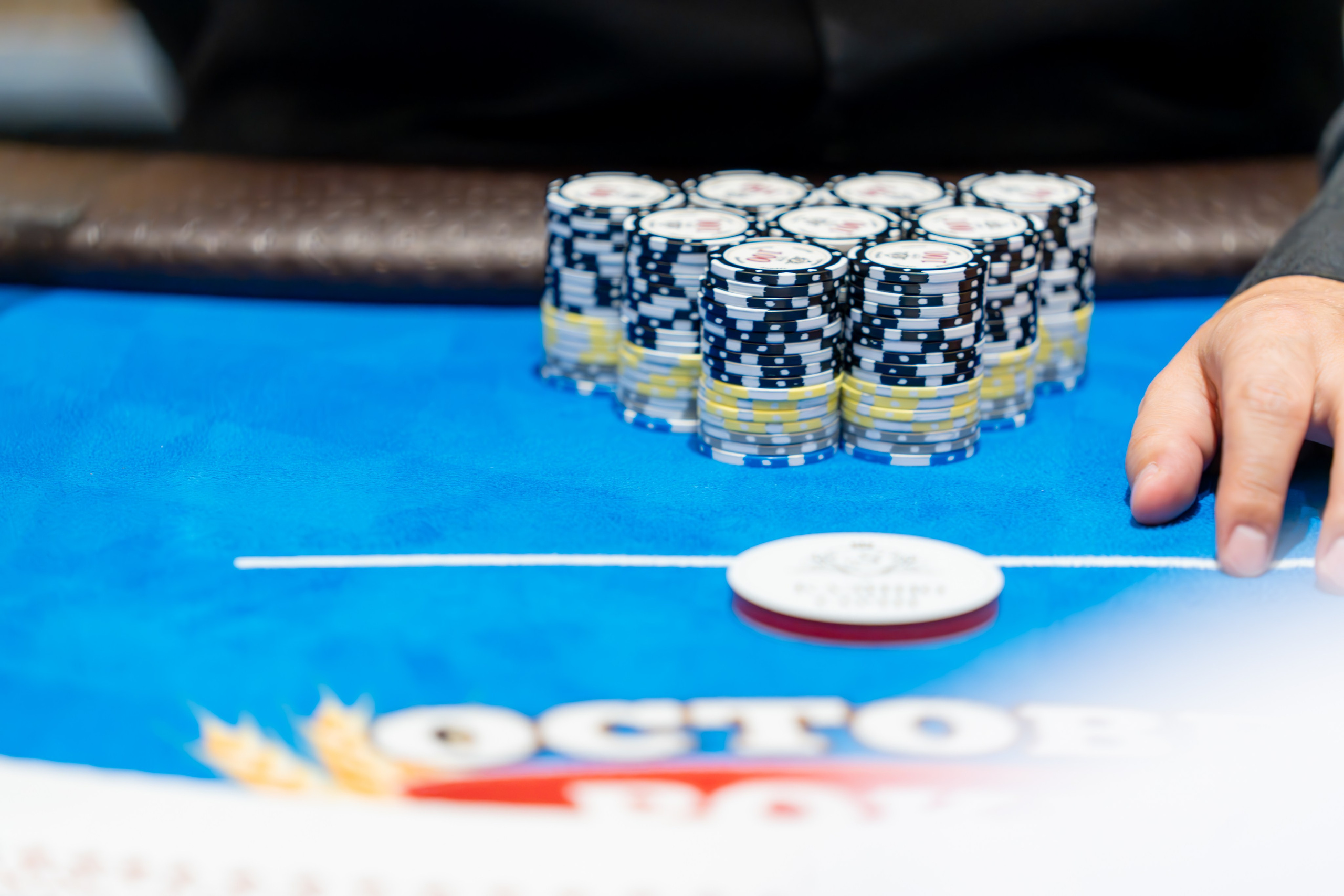 MICE мероприятие для компании «Базис». Репортажный фотограф в Красной Поляне и Сочи Павлюченко Екатерина