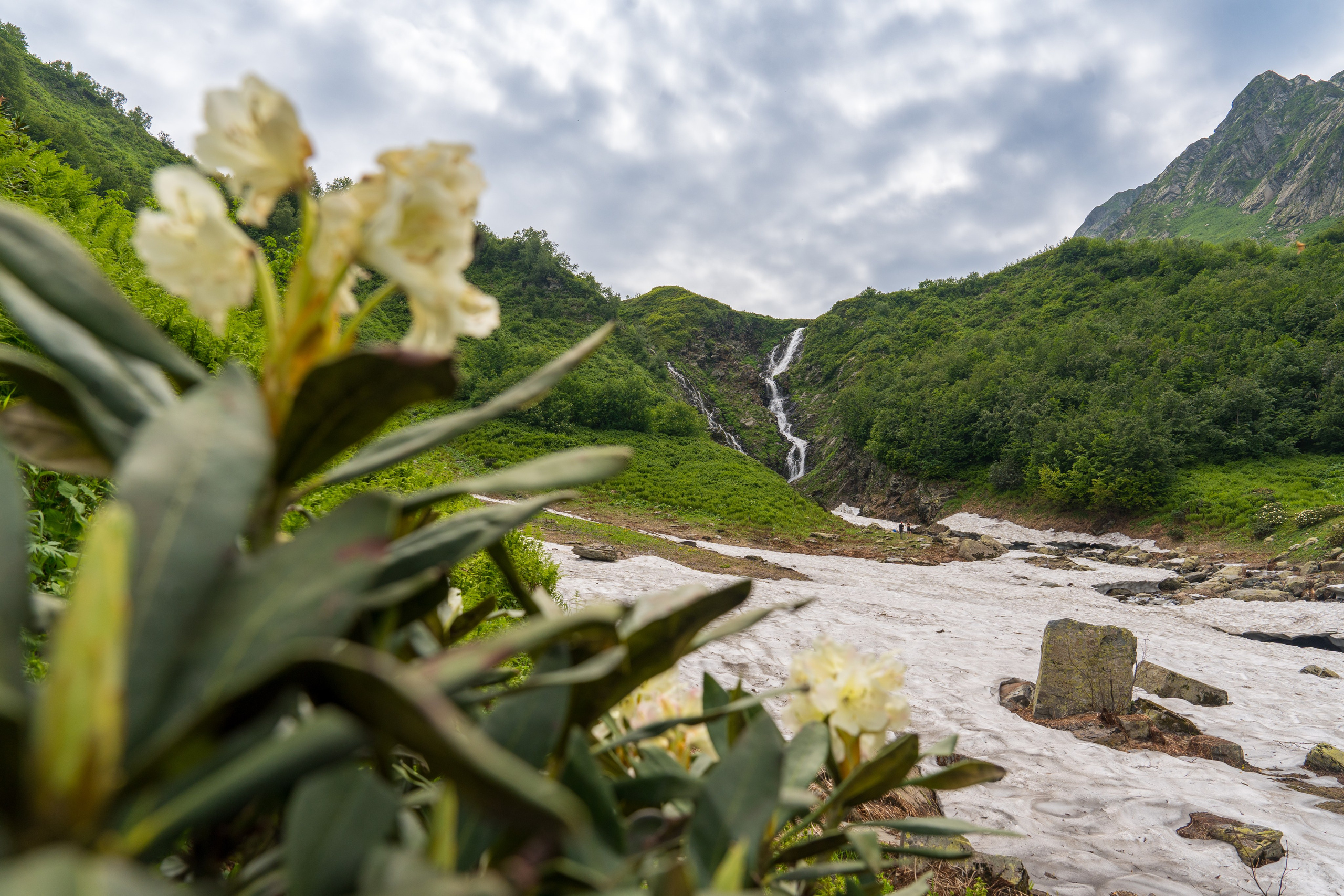 MICE мероприятие для компании «Доставка морем»: хайкинг к Ачипсинским водопадам. Репортажный фотограф в Красной Поляне и Сочи Павлюченко Екатерина