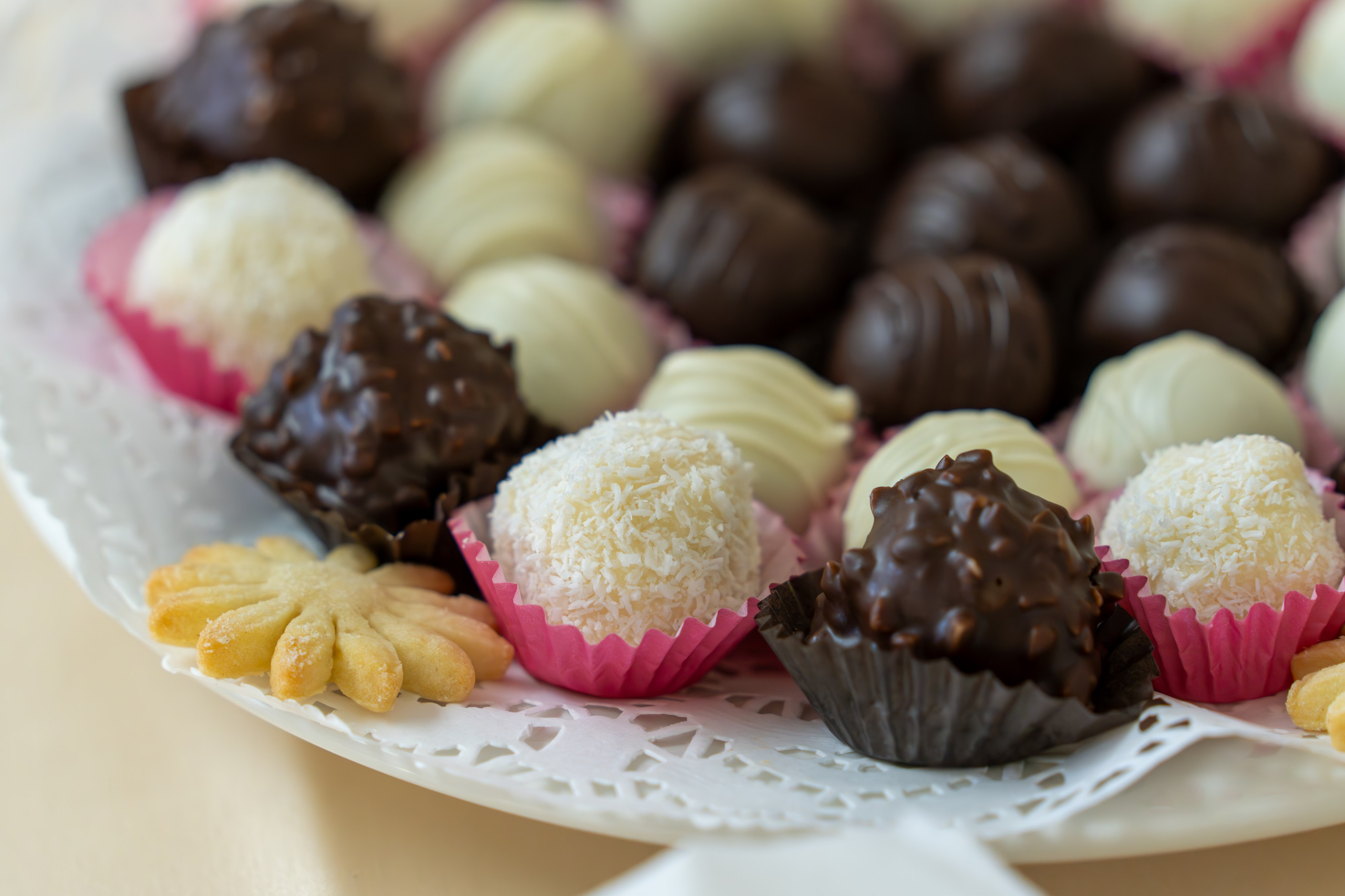 ЦСТЭ холдинг 2023. Репортажный фотограф в Красной Поляне и Сочи Павлюченко Екатерина