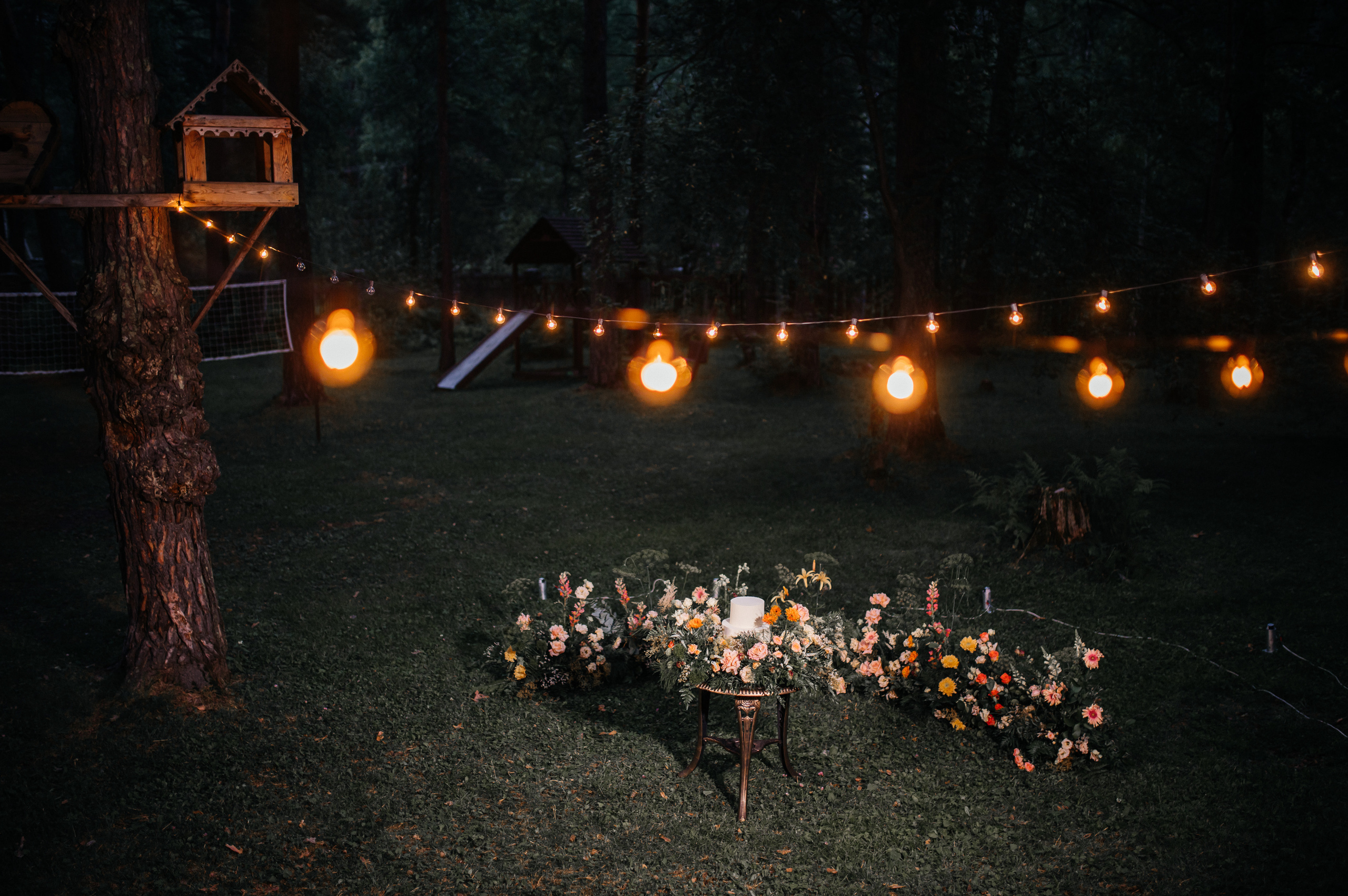 Игорь и Виктория. Свадебная  съемка на Алтае