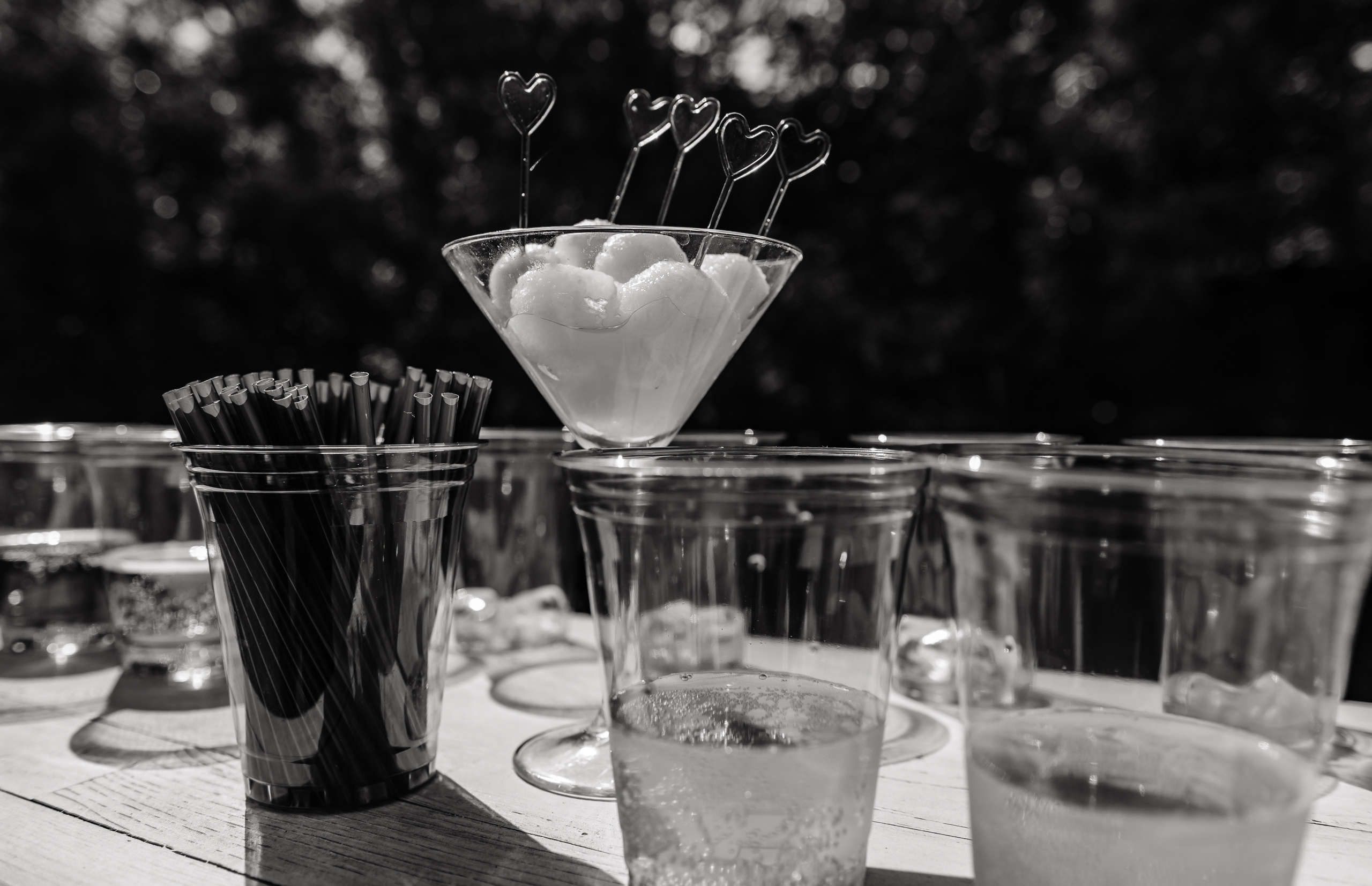 Вячеслав и Юлия. Свадебная  съемка на Алтае