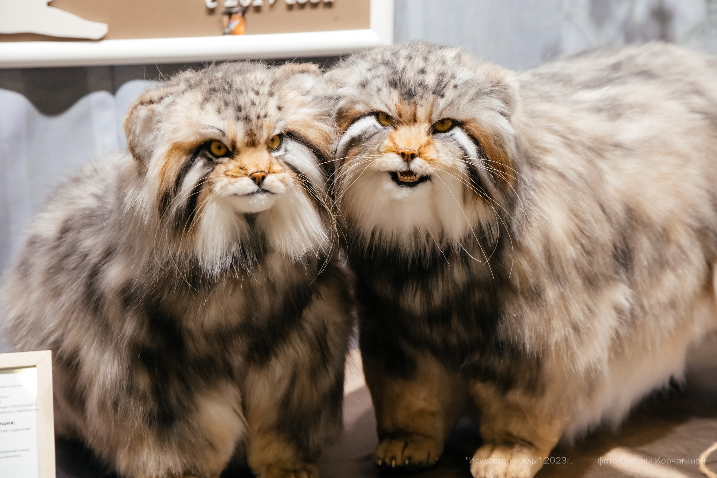 ИСКУССТВО КУКЛЫ. Фотограф в Красноярске Оксана Корчагина