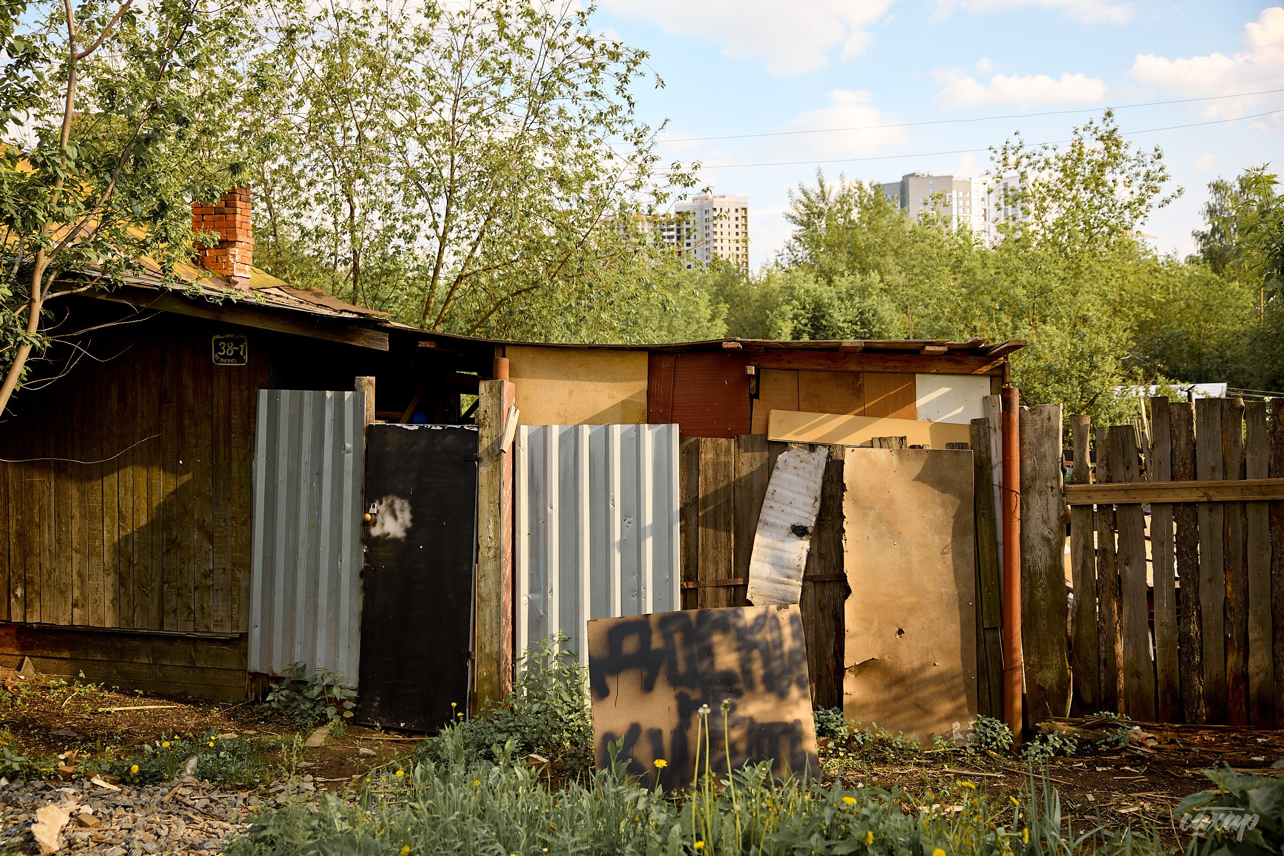 Что вижу, то и пою! от 2024_06_11. Профессиональный фотограф в Екатеринбурге Юра Сахар