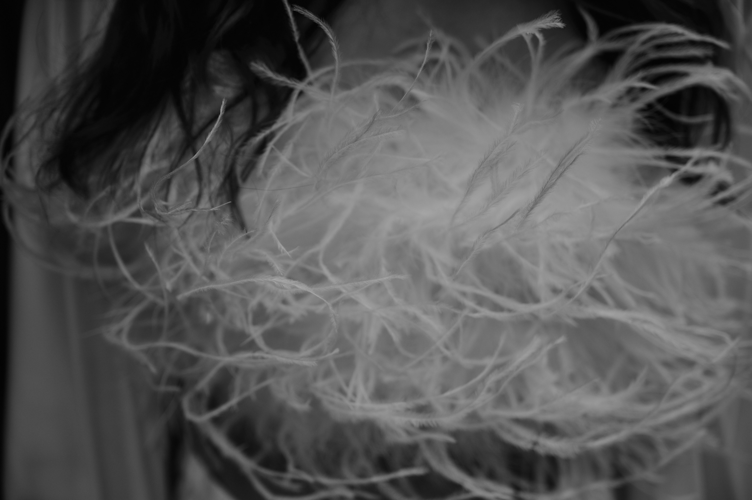 M&L. Свадебный и репортажный фотограф