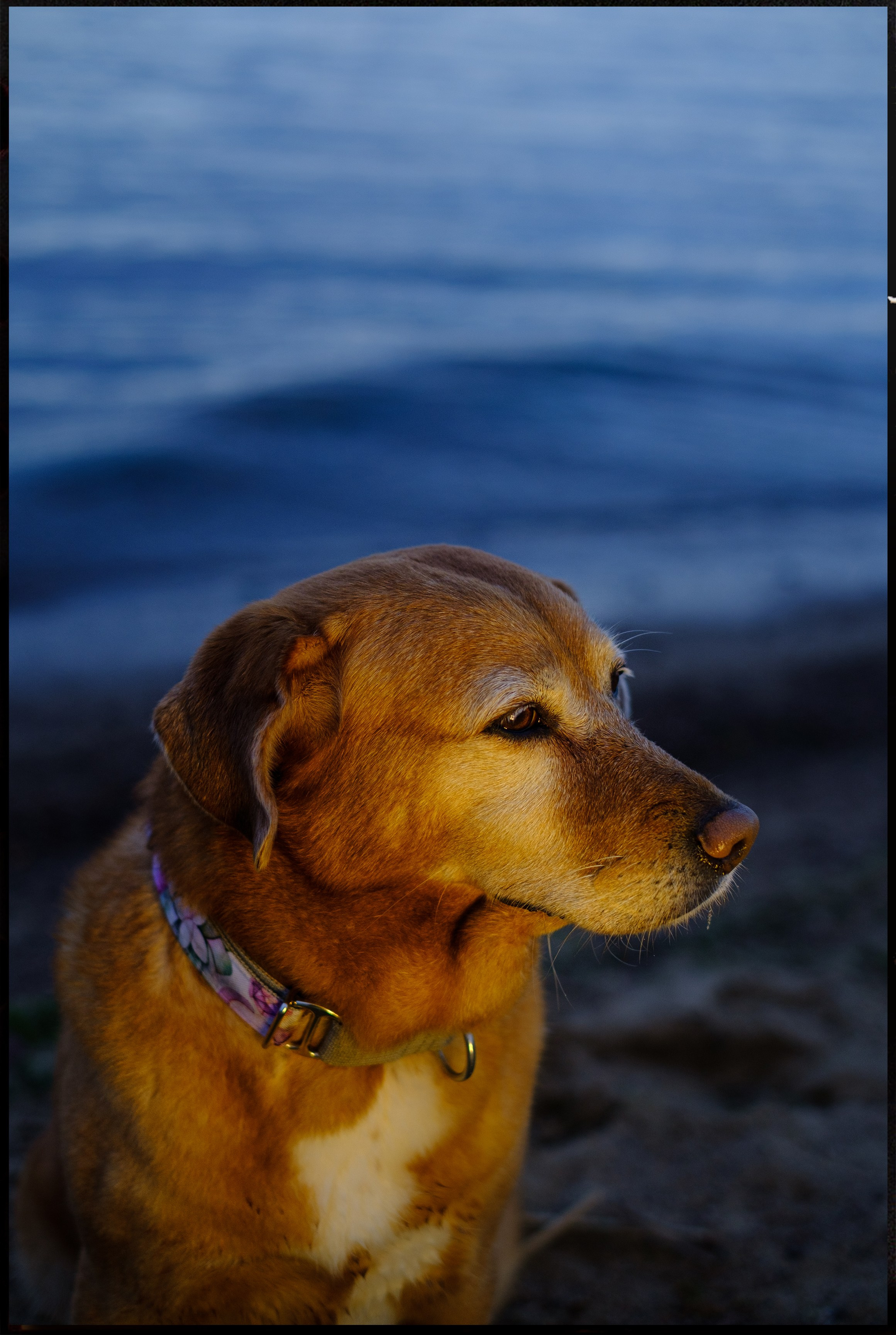 ФОТО. Фотохудожник и видеограф в Петербурге Валерия Кондаурова