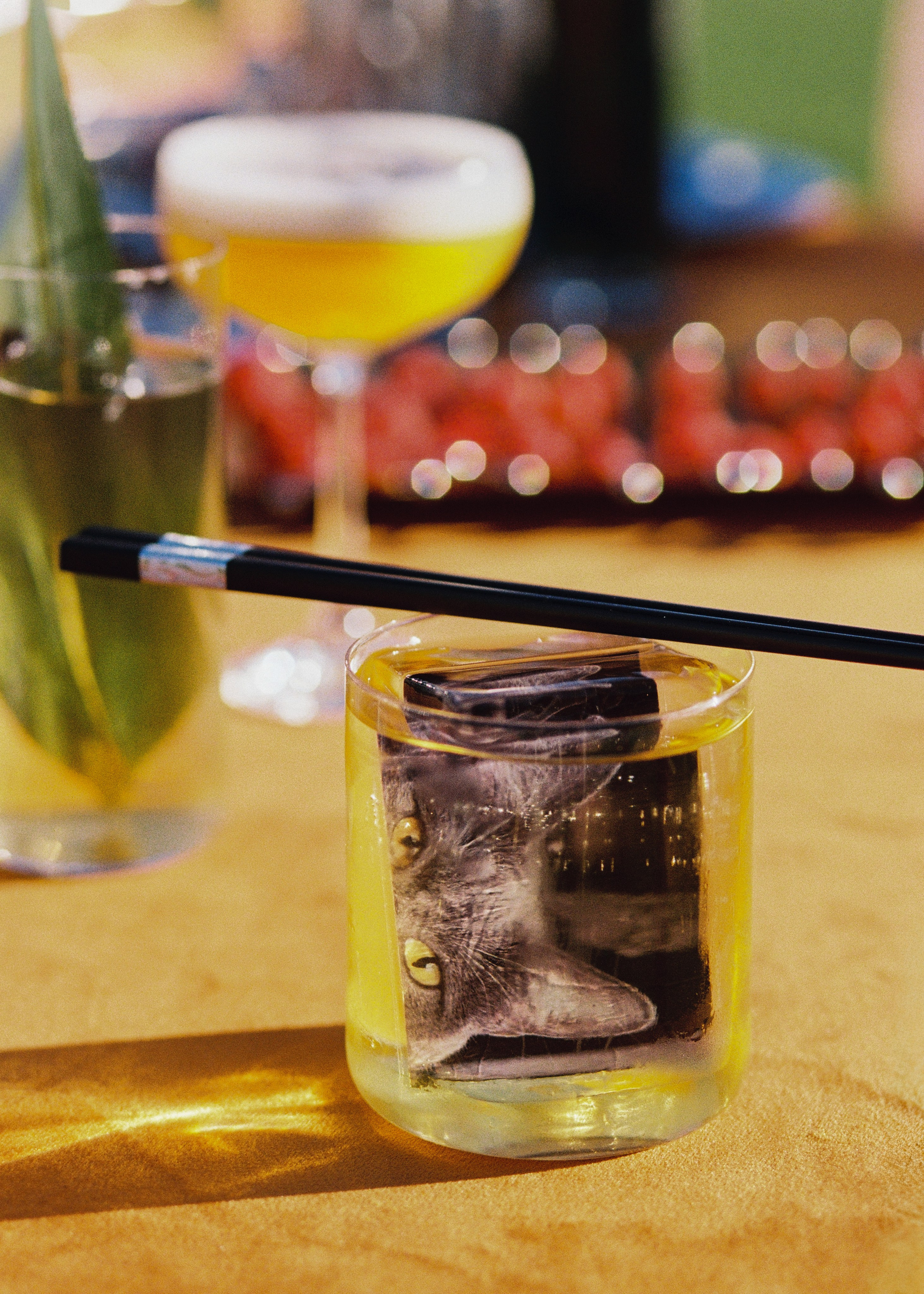 You, me, Japan. Annbakhtina.com