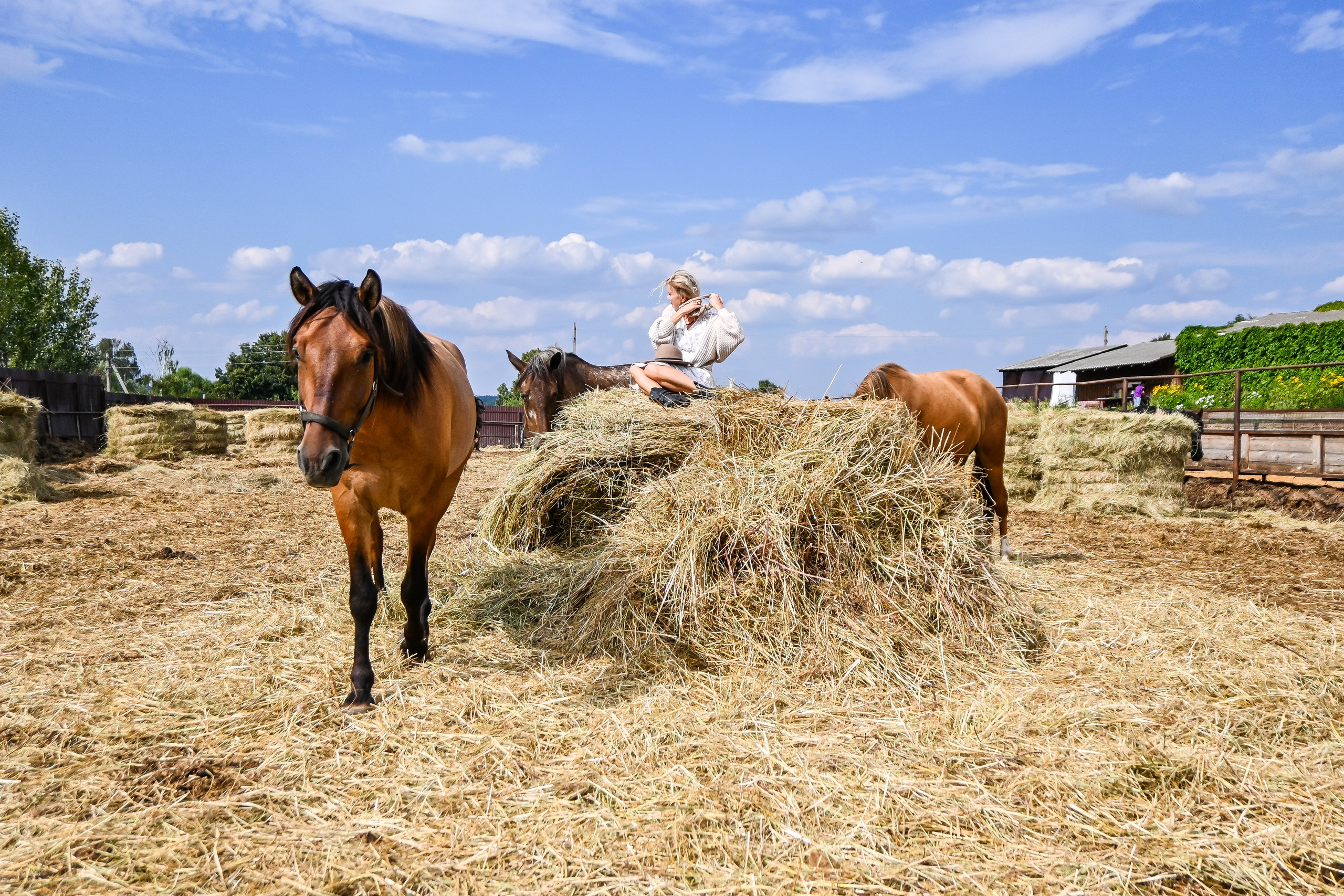 РАНЧО/ АВГУСТ. Фотограф для бизнесконтента, репортажей и семейного альбома в Москве