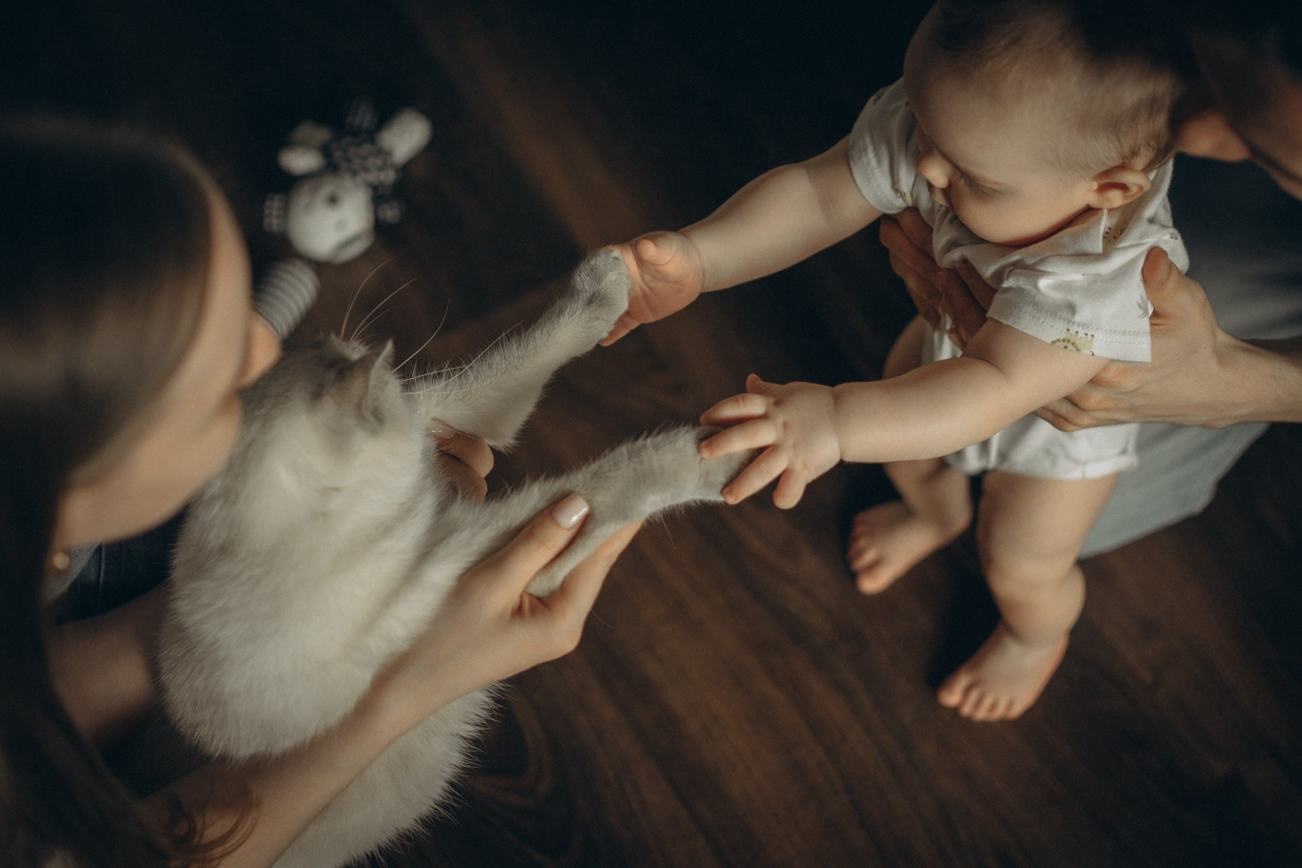 Family. Фотограф в Санкт-Петербурге