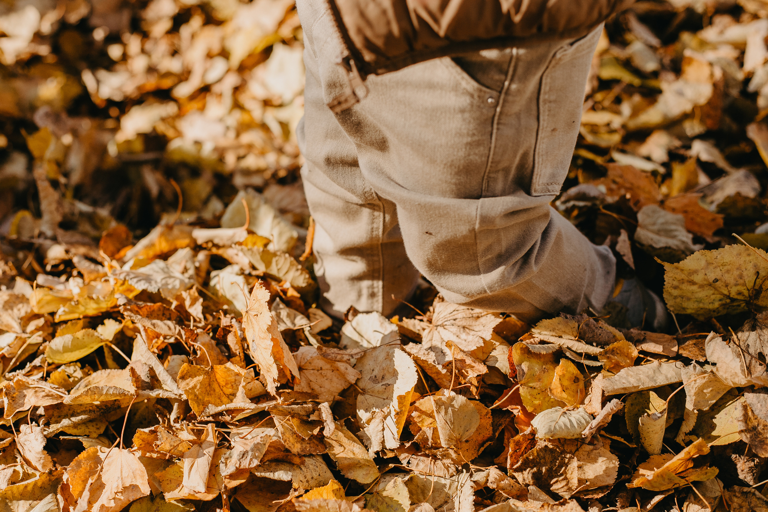 Эля с сыном. Свадебный и семейный фотограф во Владимире Белашова Анастасия
