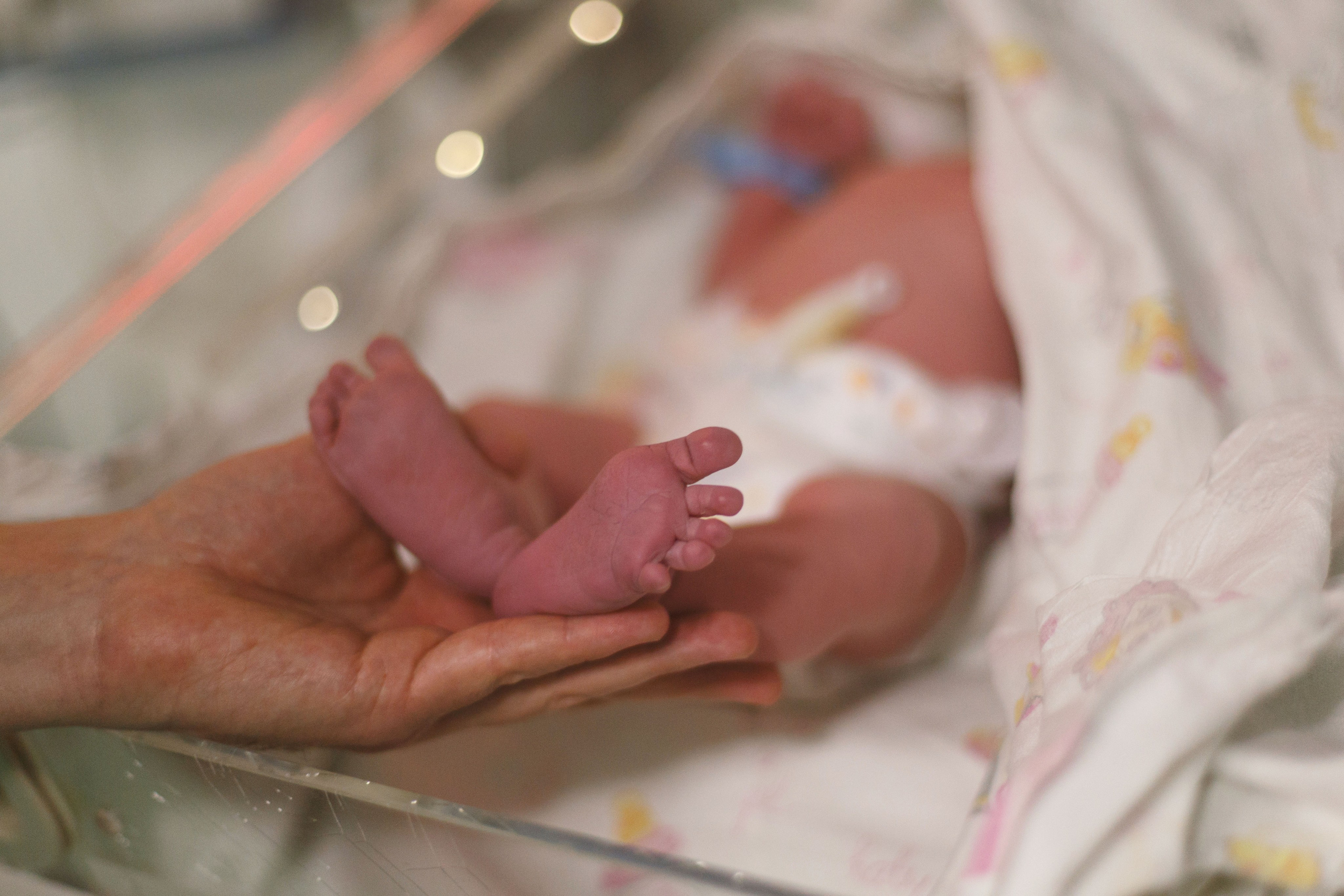 Рождение Льва. Детский и семейный фотограф в Москве Татьяна Козлова