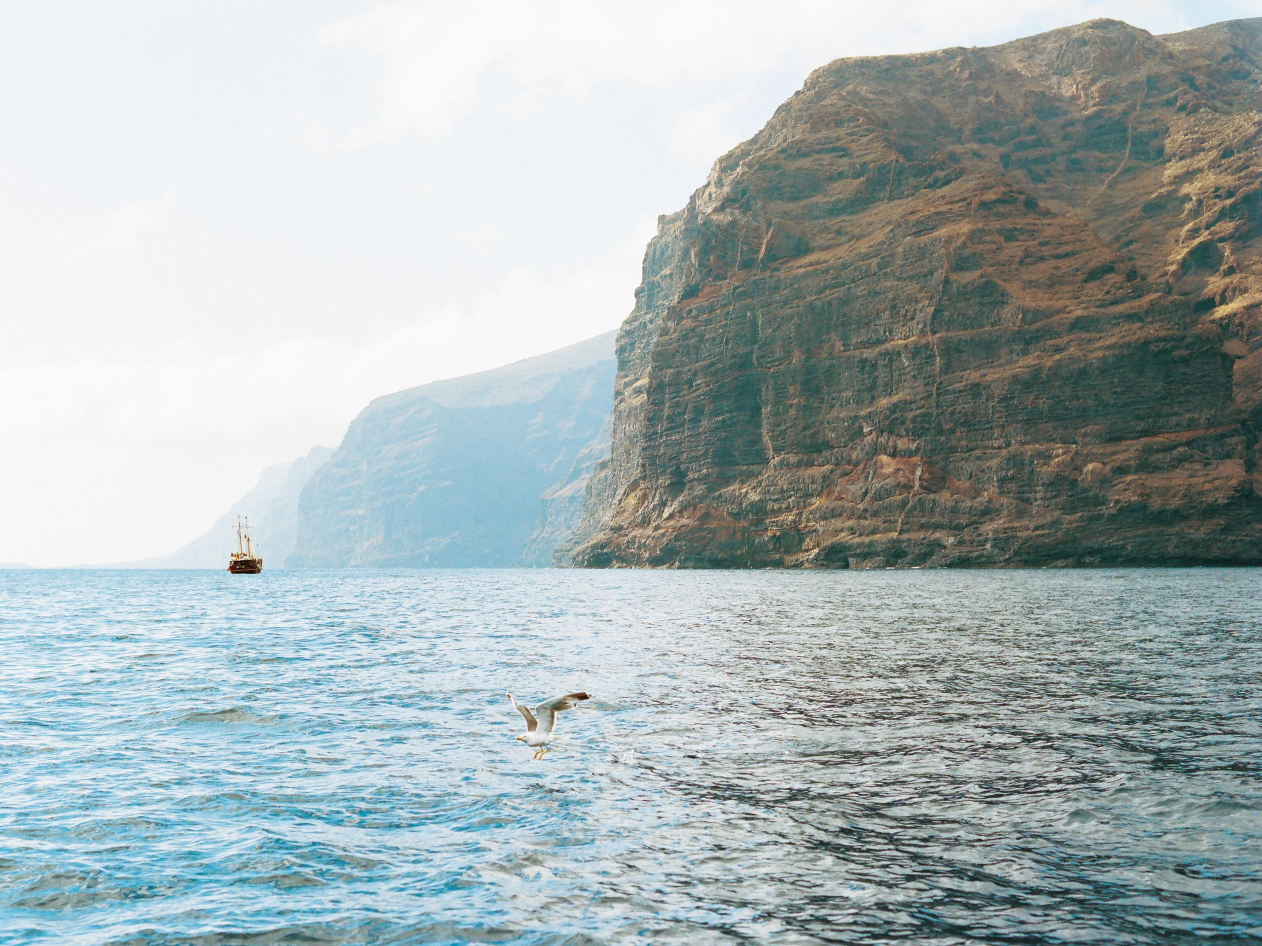 Катерина и Сергей, свадьба на Тенерифе. Изящная фотография | Ксения Милушкина