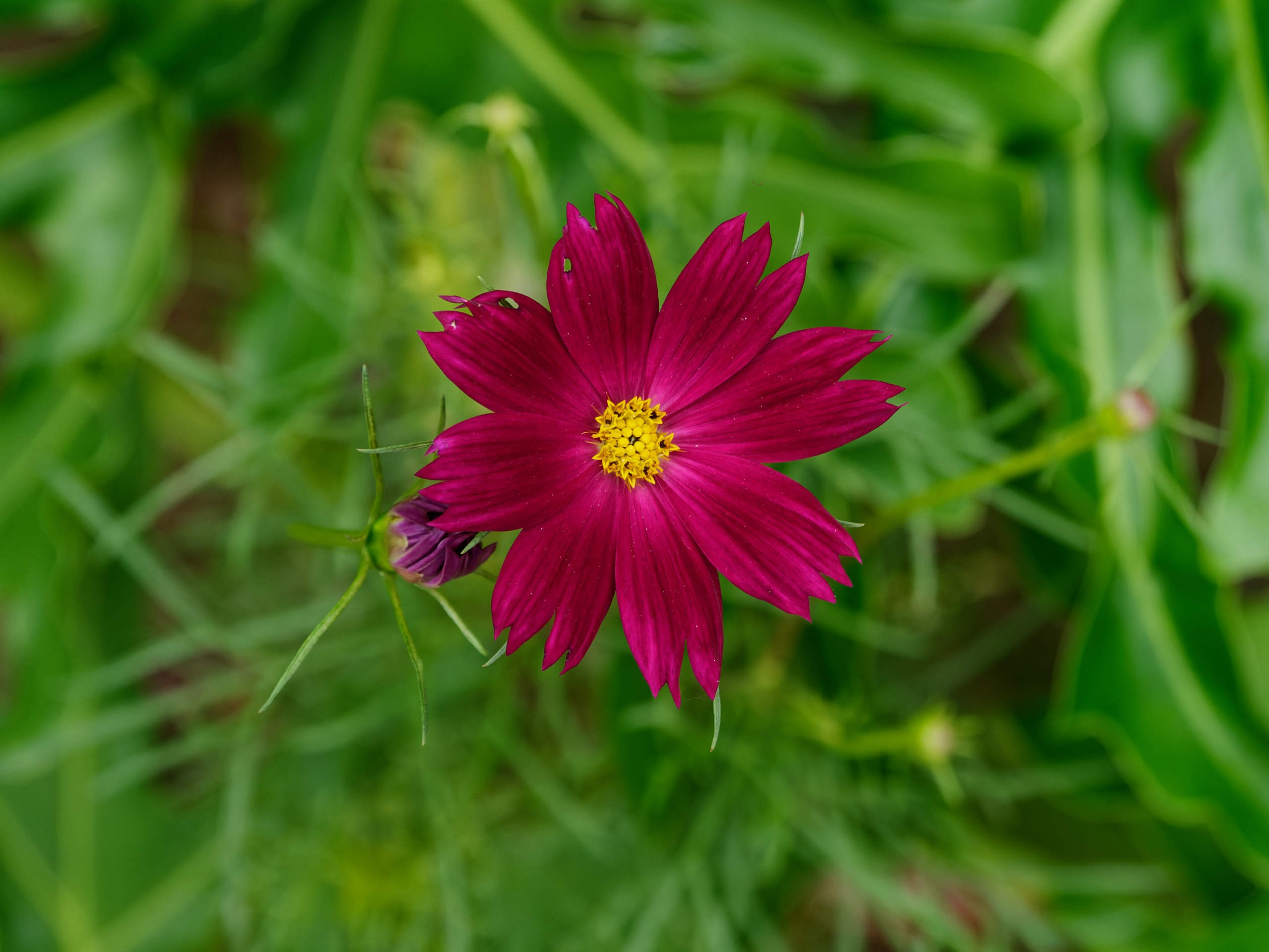 Нячанг 2025 (4). Избранные фотографии