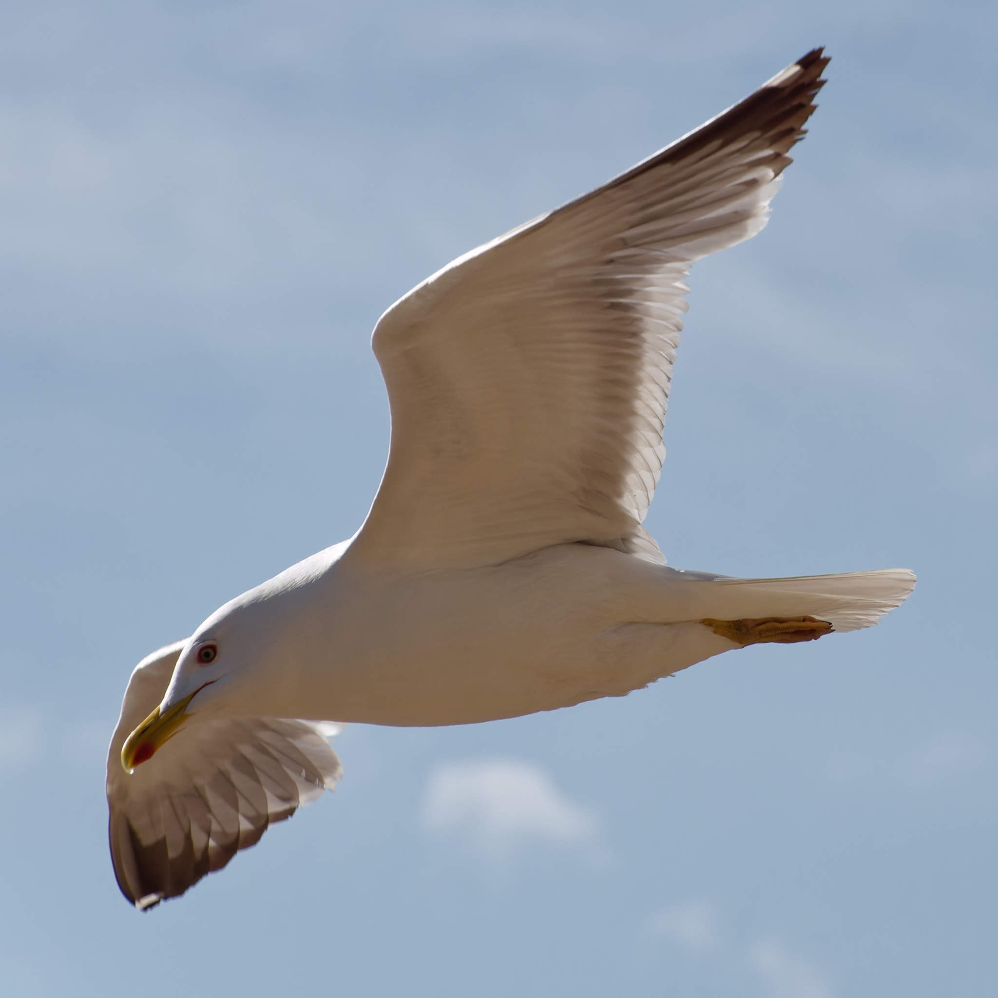 Боровое 2024 (из архива). Избранные фотографии