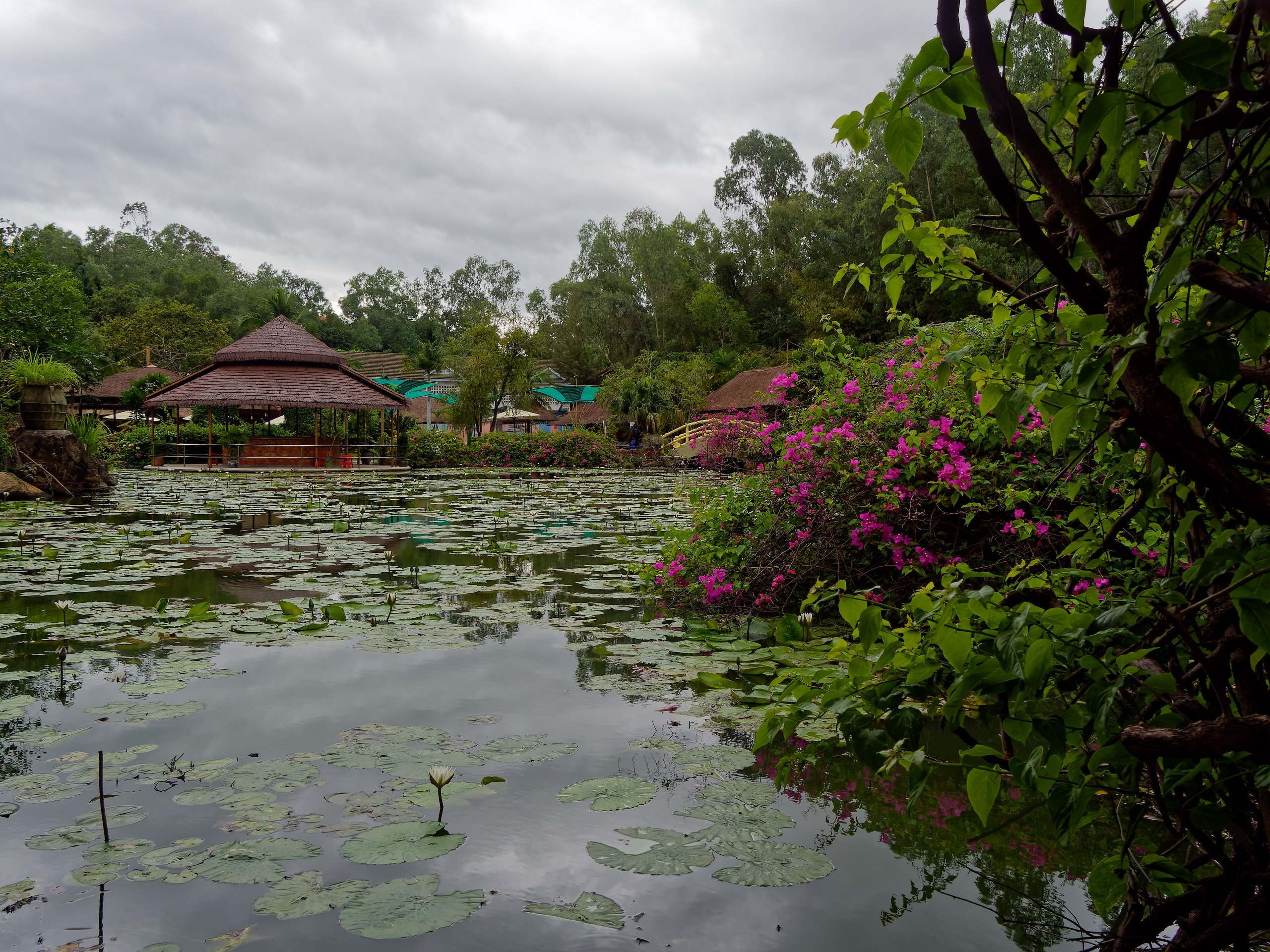 Нячанг 2025 (4). Избранные фотографии